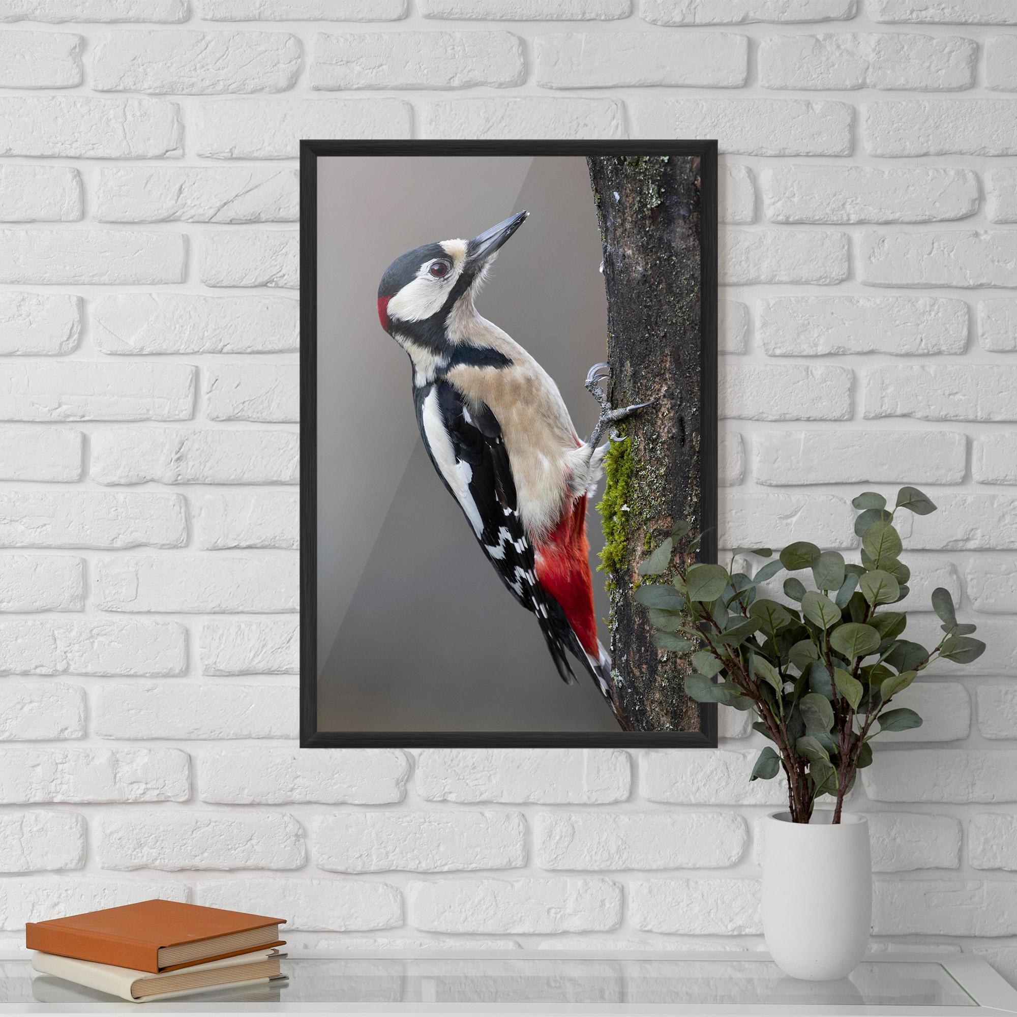 Poster Înrămat Woodpecker mockup 5