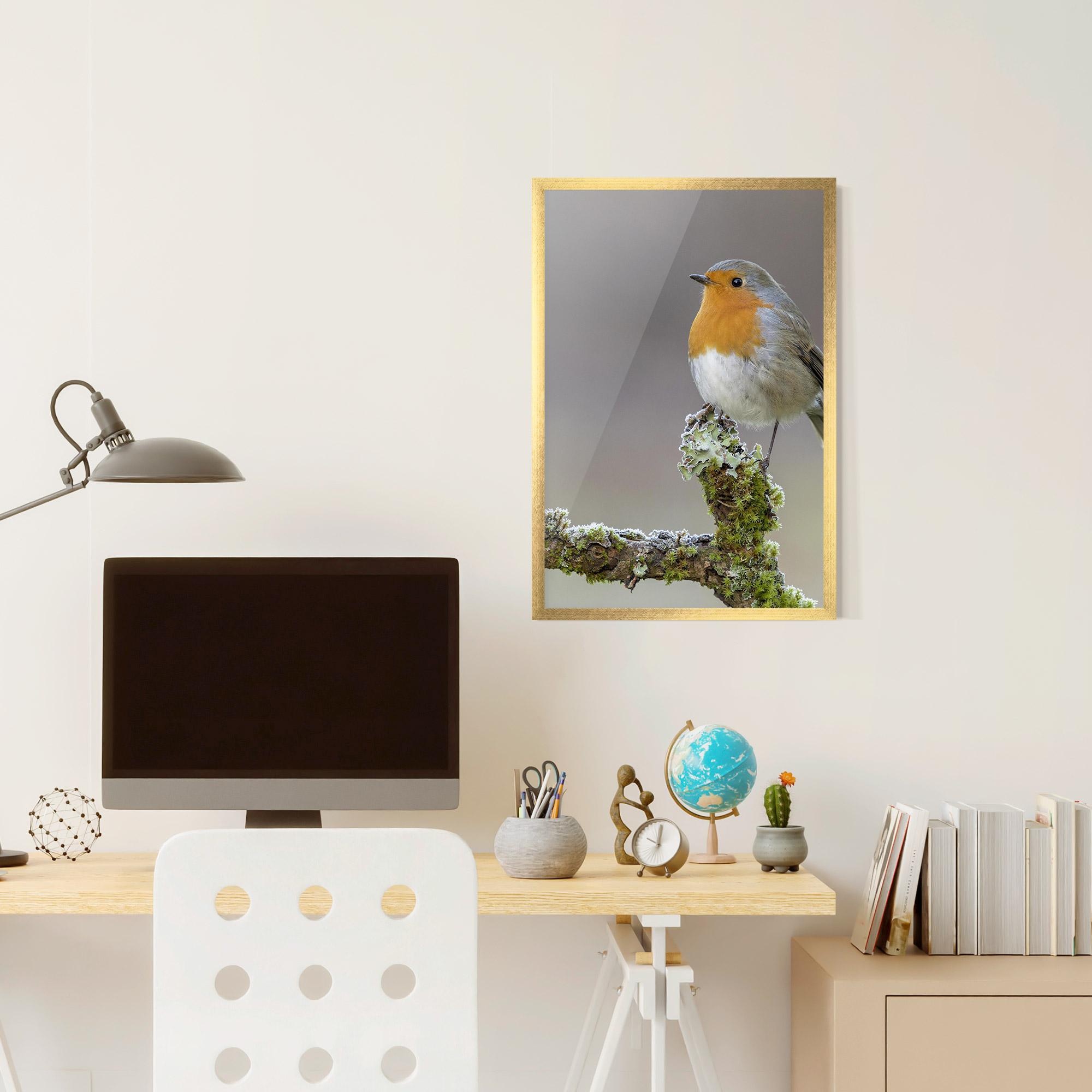 Poster Înrămat Erithacus Bird mockup 6