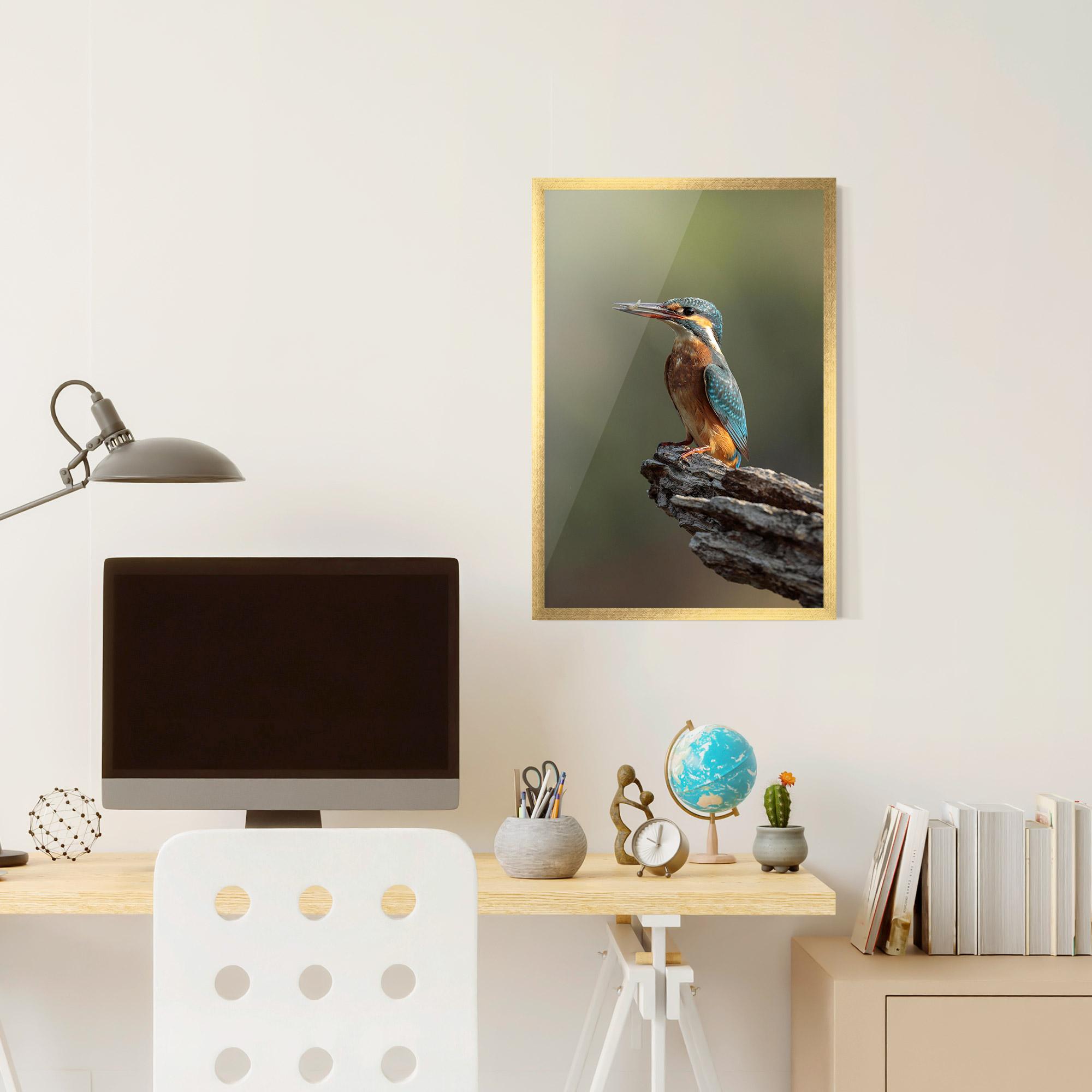 Poster Înrămat Female Kingfisher mockup 6