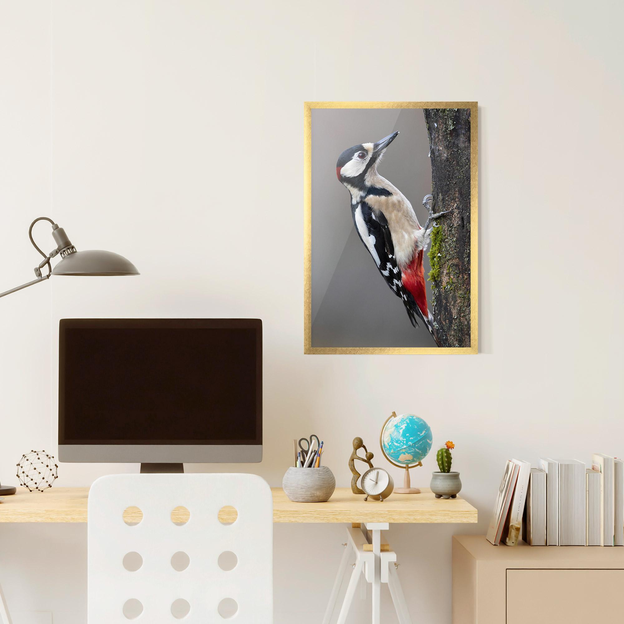 Poster Înrămat Woodpecker mockup 6