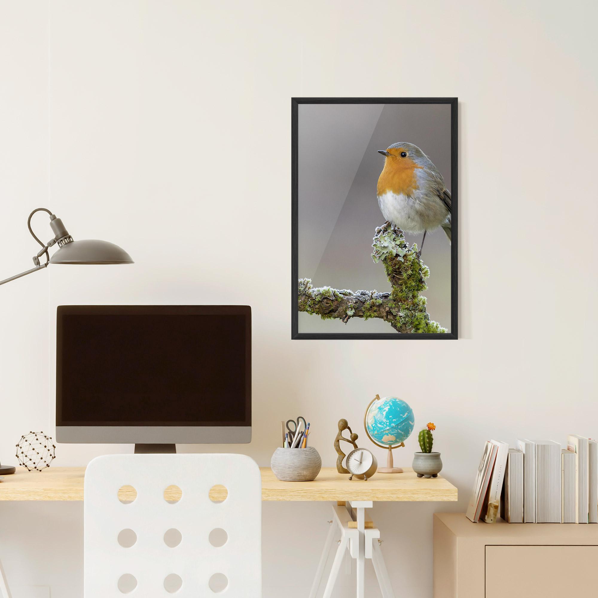 Poster Înrămat Erithacus Bird mockup 6
