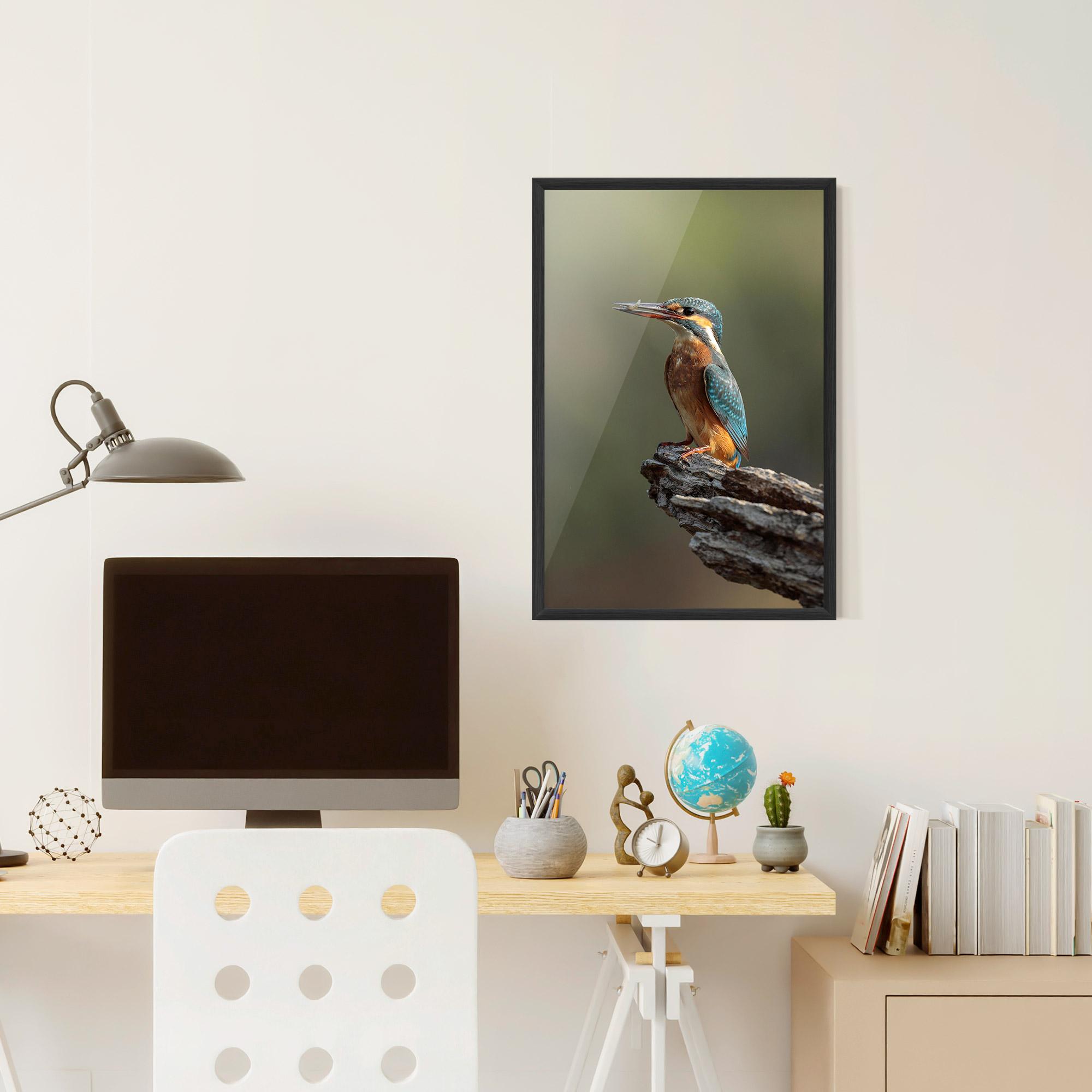 Poster Înrămat Female Kingfisher mockup 6