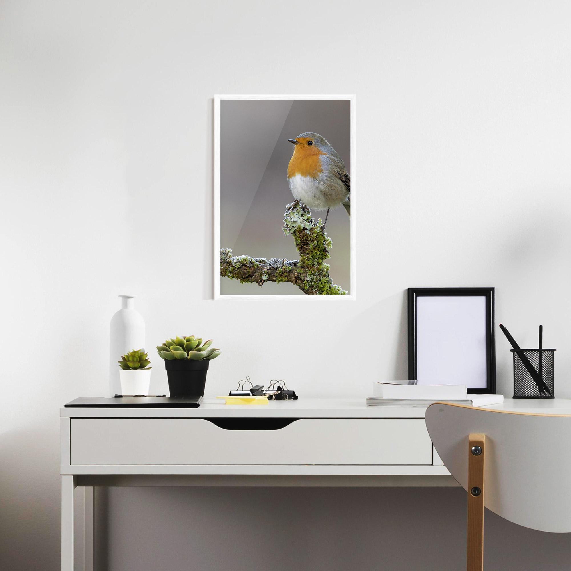 Poster Înrămat Erithacus Bird mockup 7