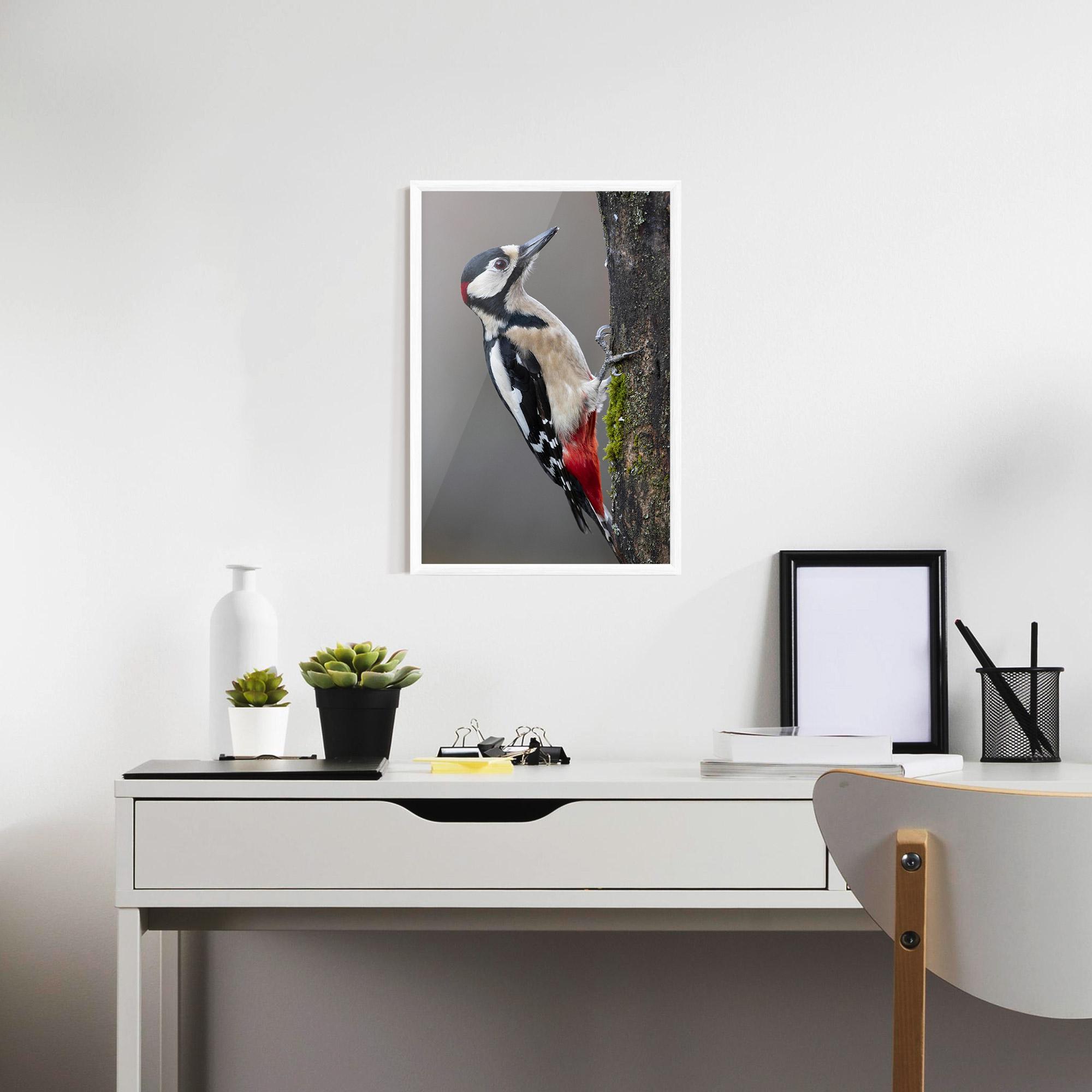 Poster Înrămat Woodpecker mockup 7