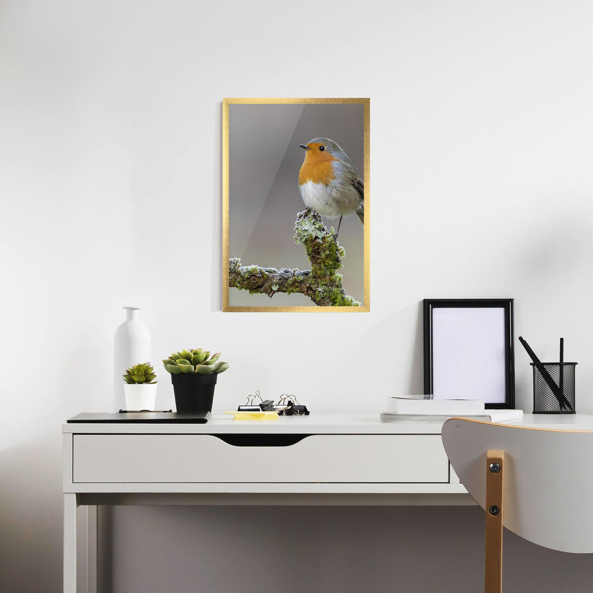 Poster Înrămat Erithacus Bird mockup 7