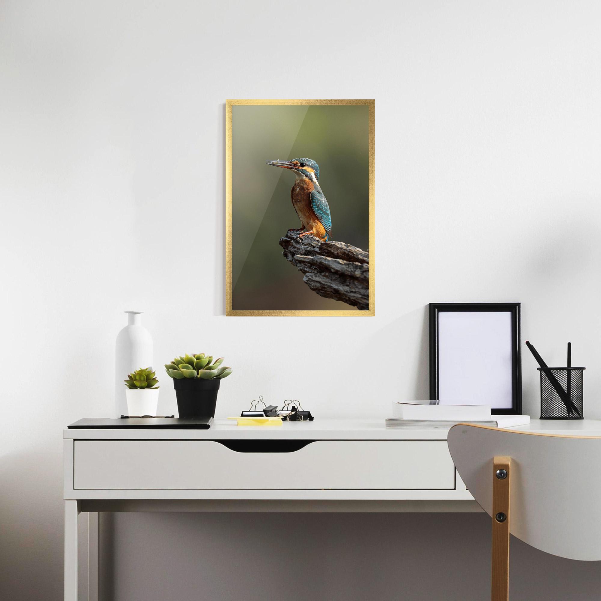 Poster Înrămat Female Kingfisher mockup 7