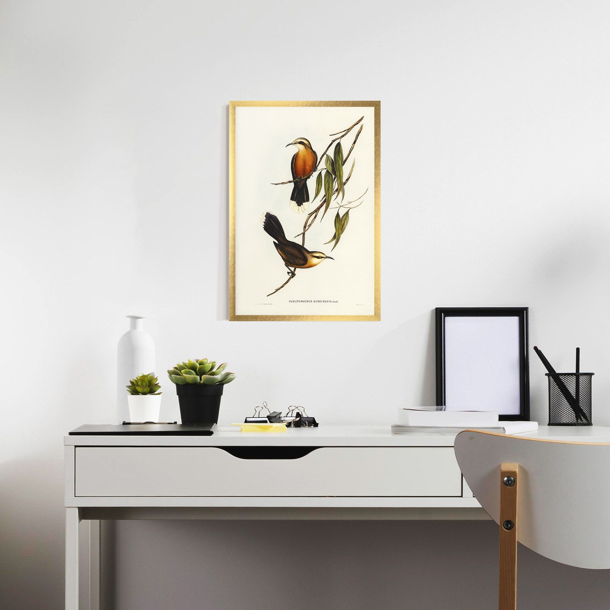 Red Pomatorhinus mockup 7