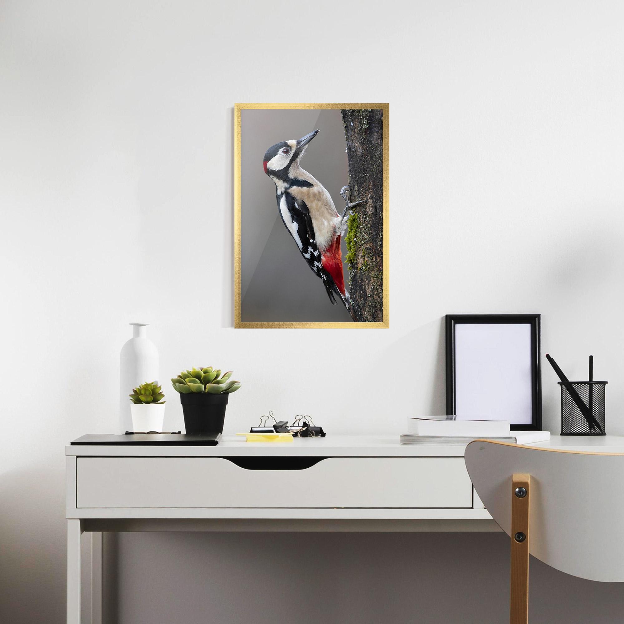 Poster Înrămat Woodpecker mockup 7