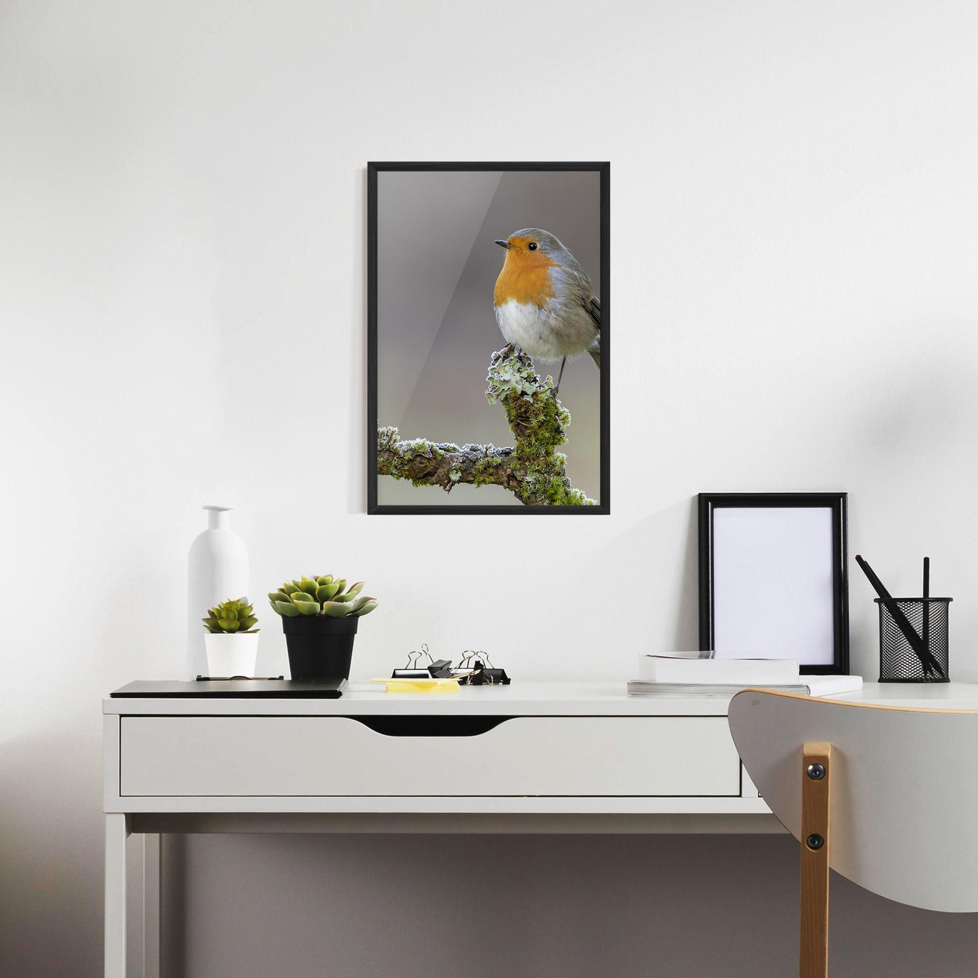 Poster Înrămat Erithacus Bird mockup 7