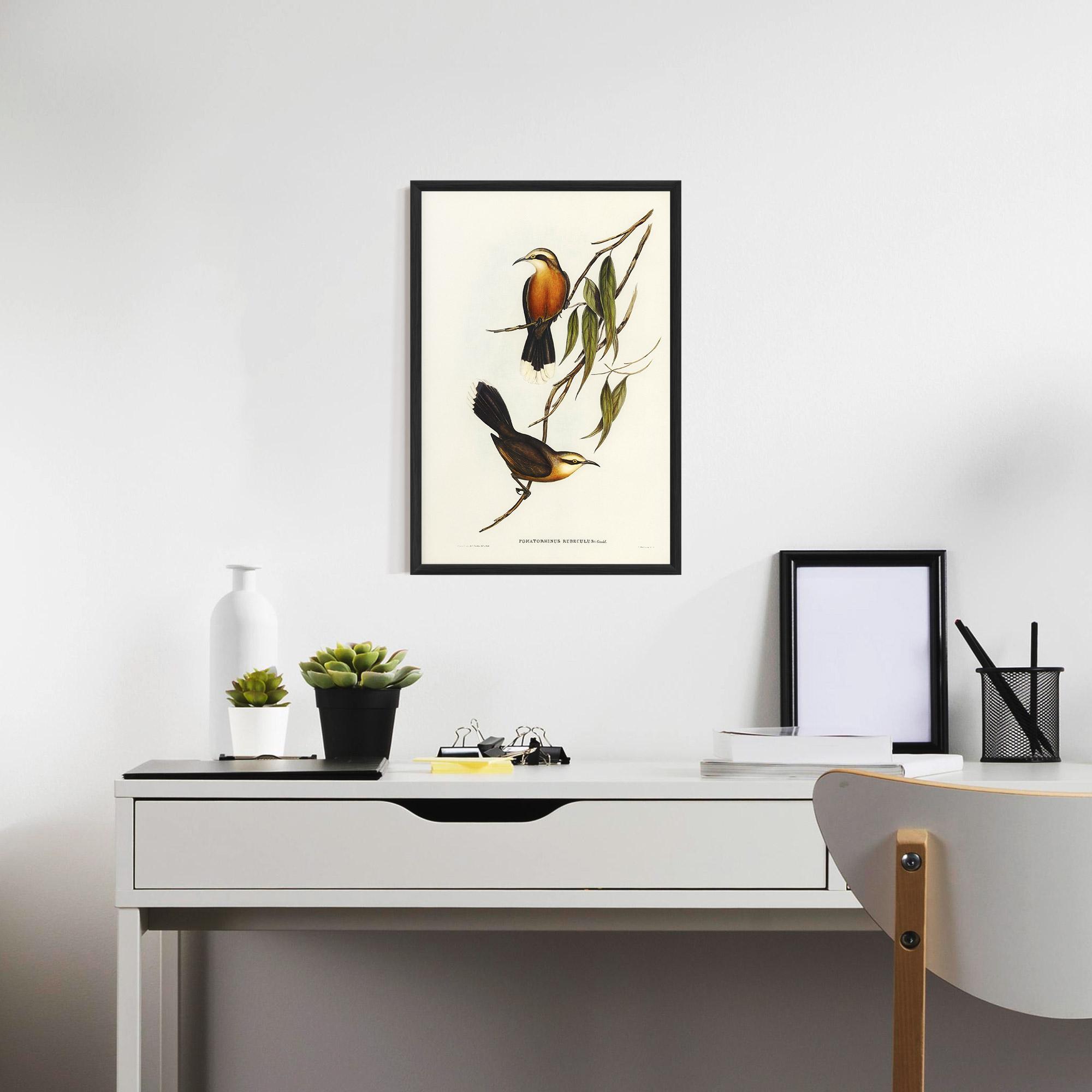 Poster Înrămat Red Pomatorhinus mockup 7