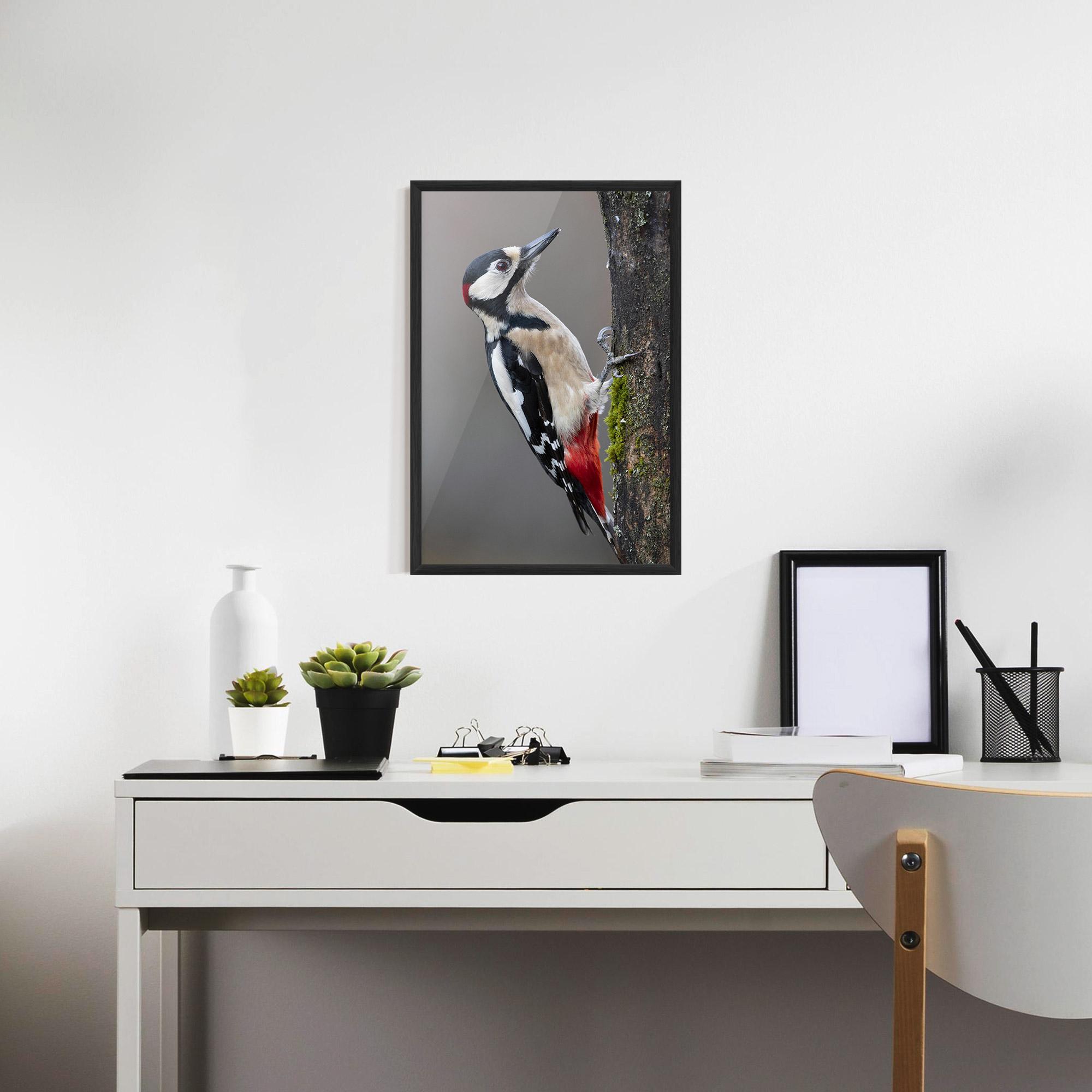 Poster Înrămat Woodpecker mockup 7