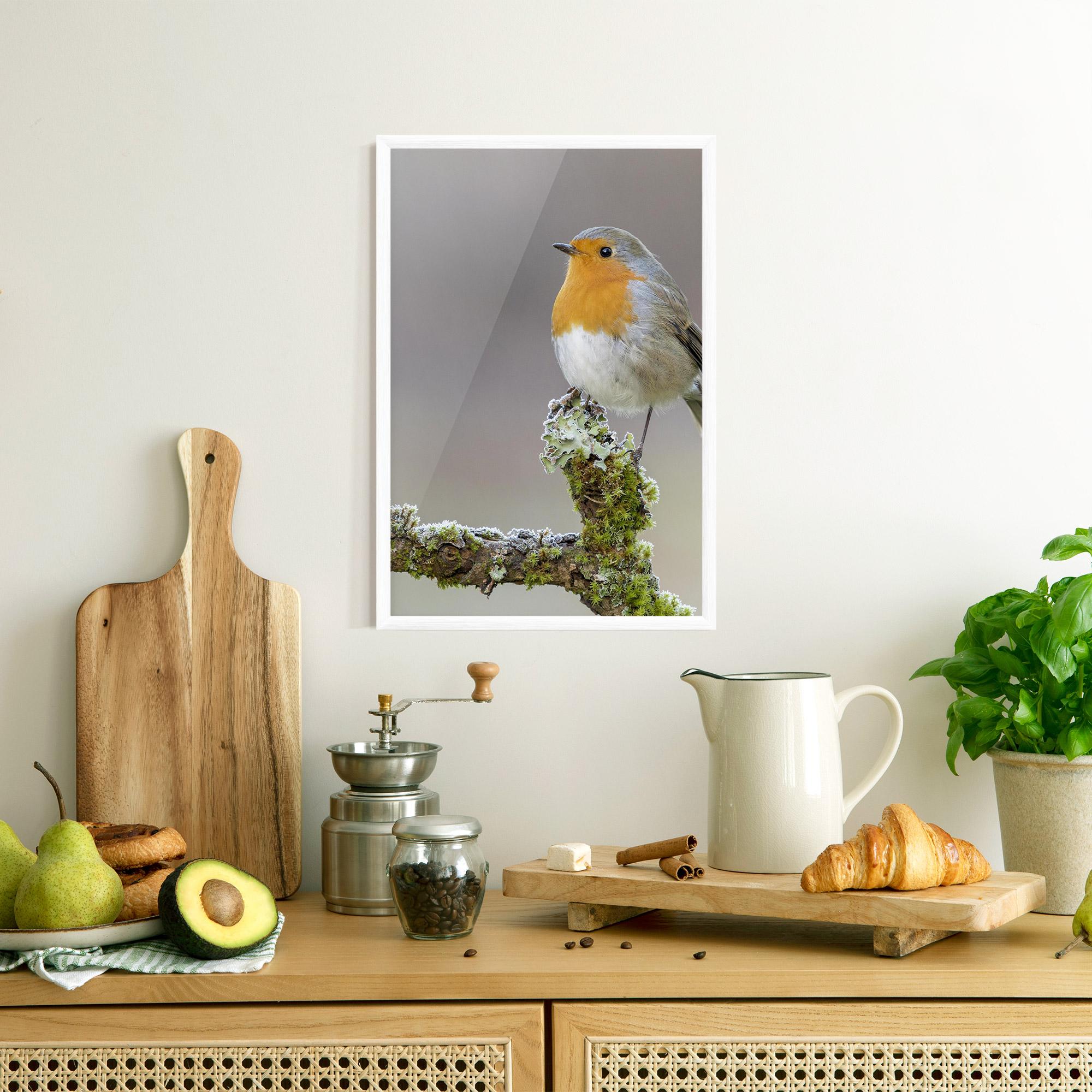Poster Înrămat Erithacus Bird mockup 8