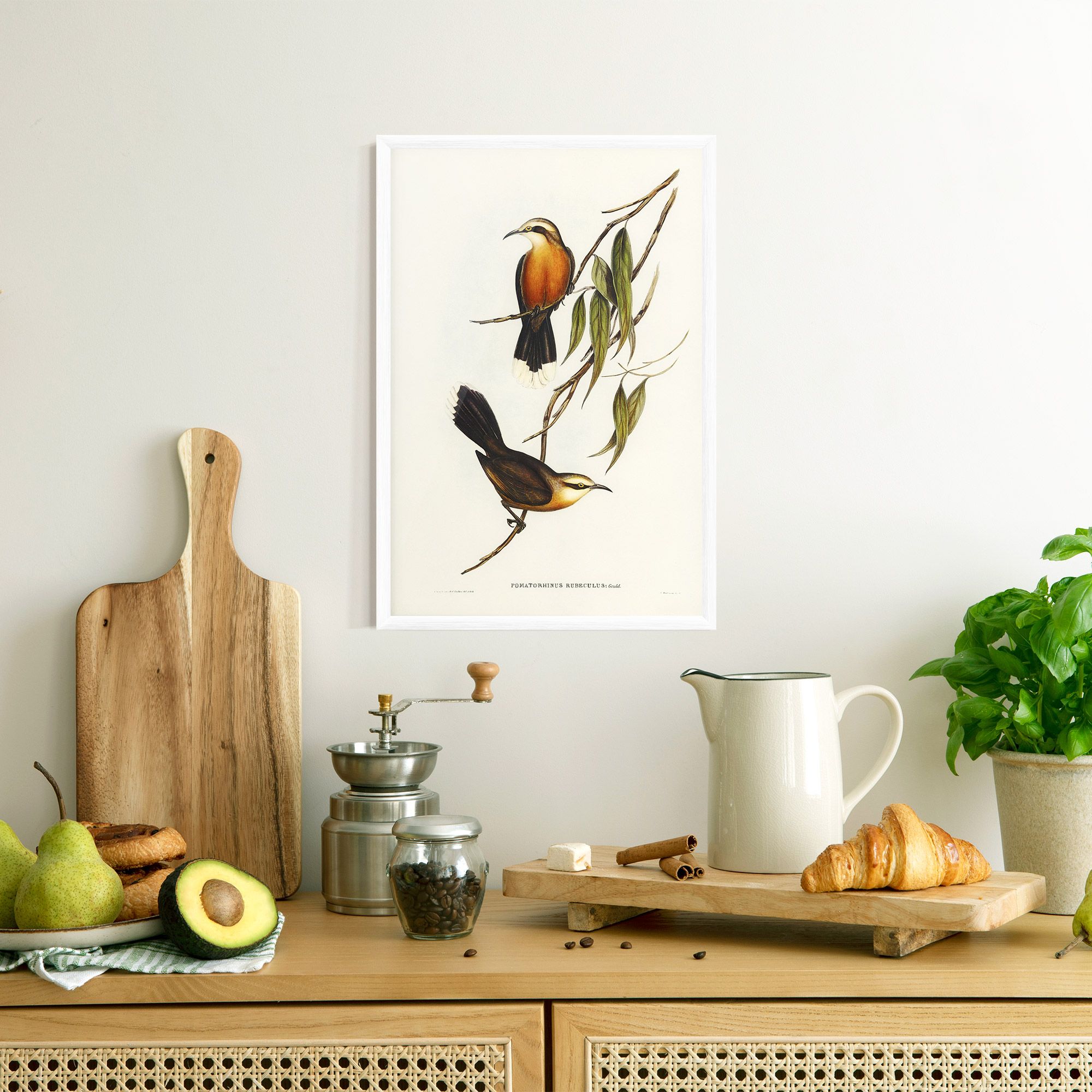 Red Pomatorhinus mockup 8