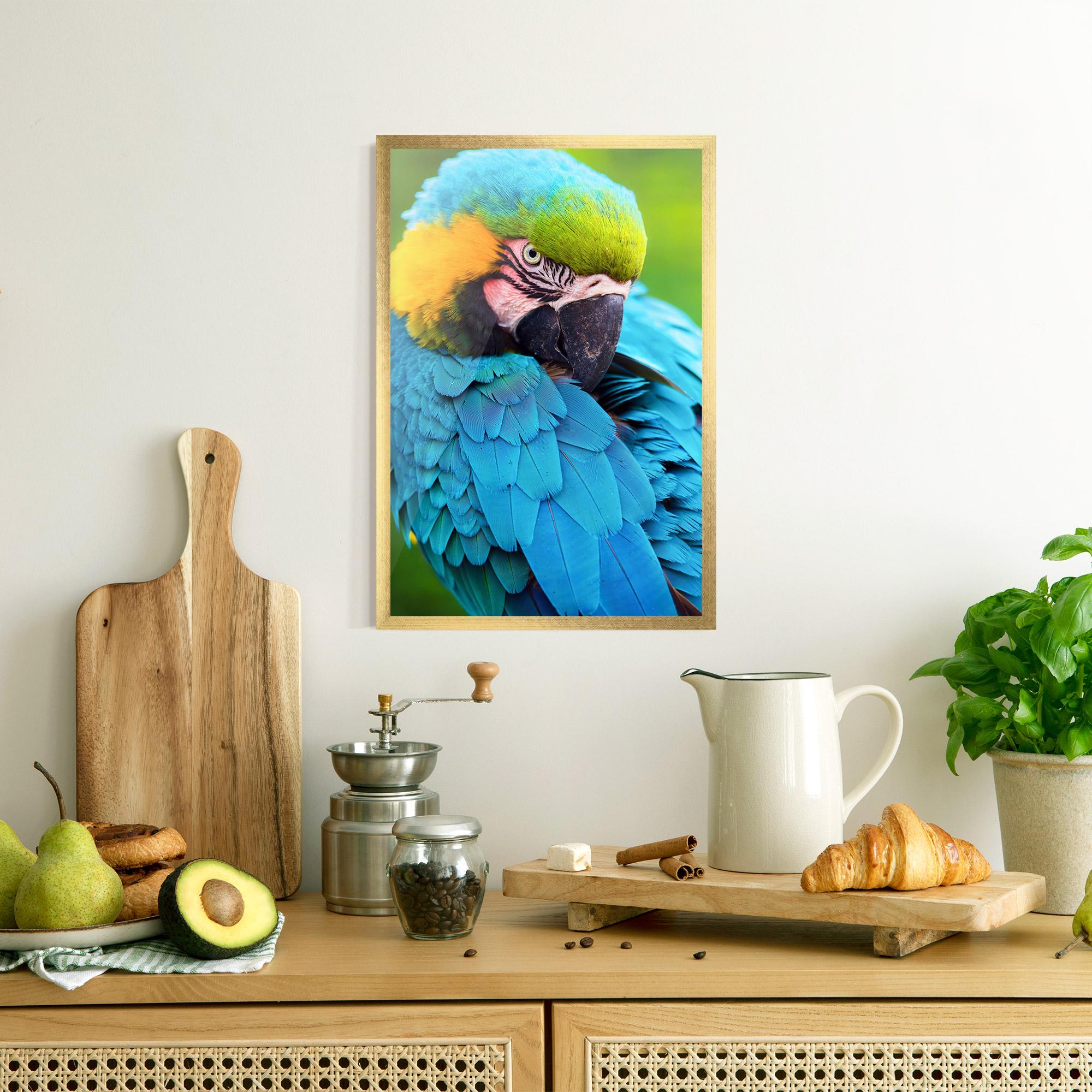 Poster Înrămat Blue Parrot mockup 8