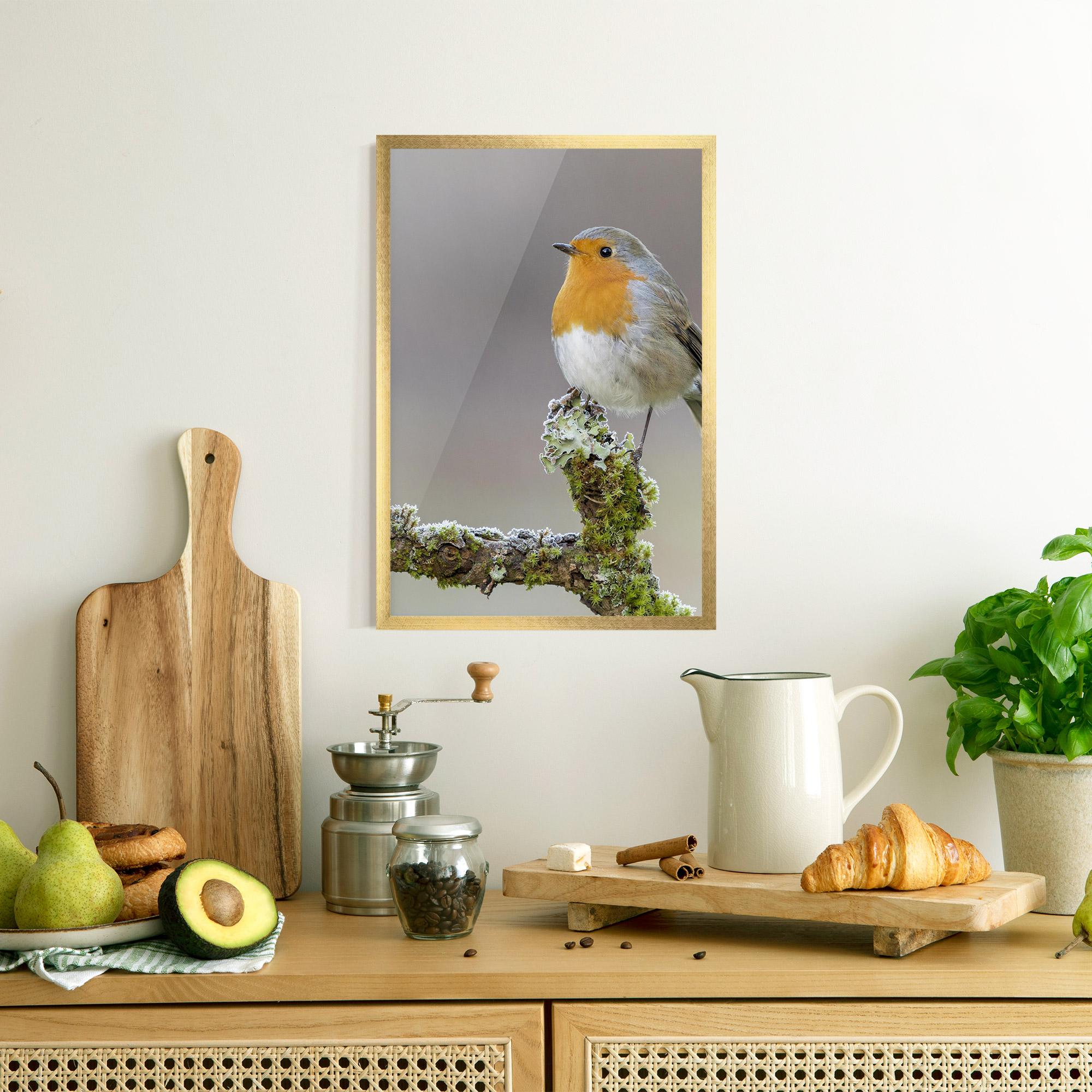 Poster Înrămat Erithacus Bird mockup 8