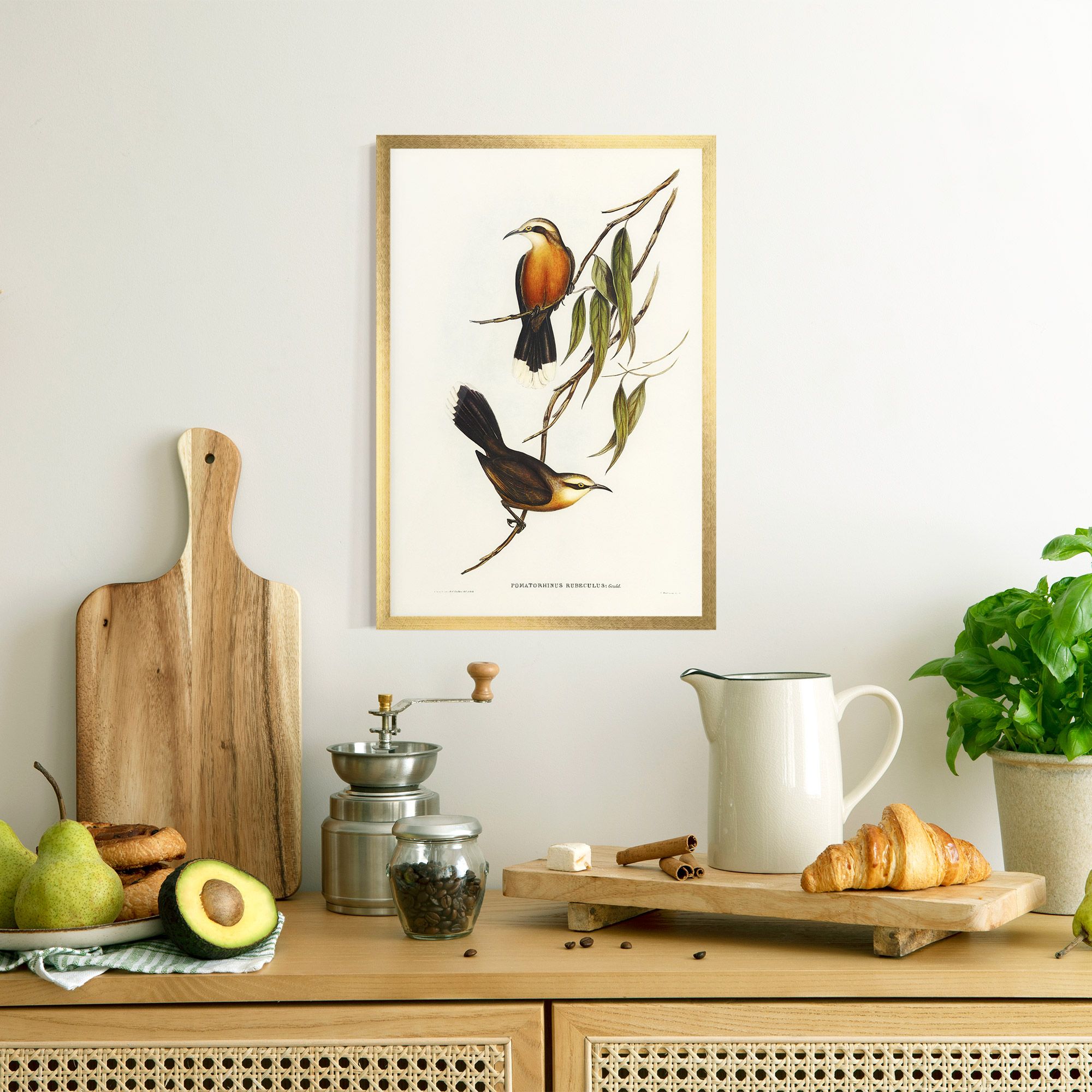 Red Pomatorhinus mockup 8