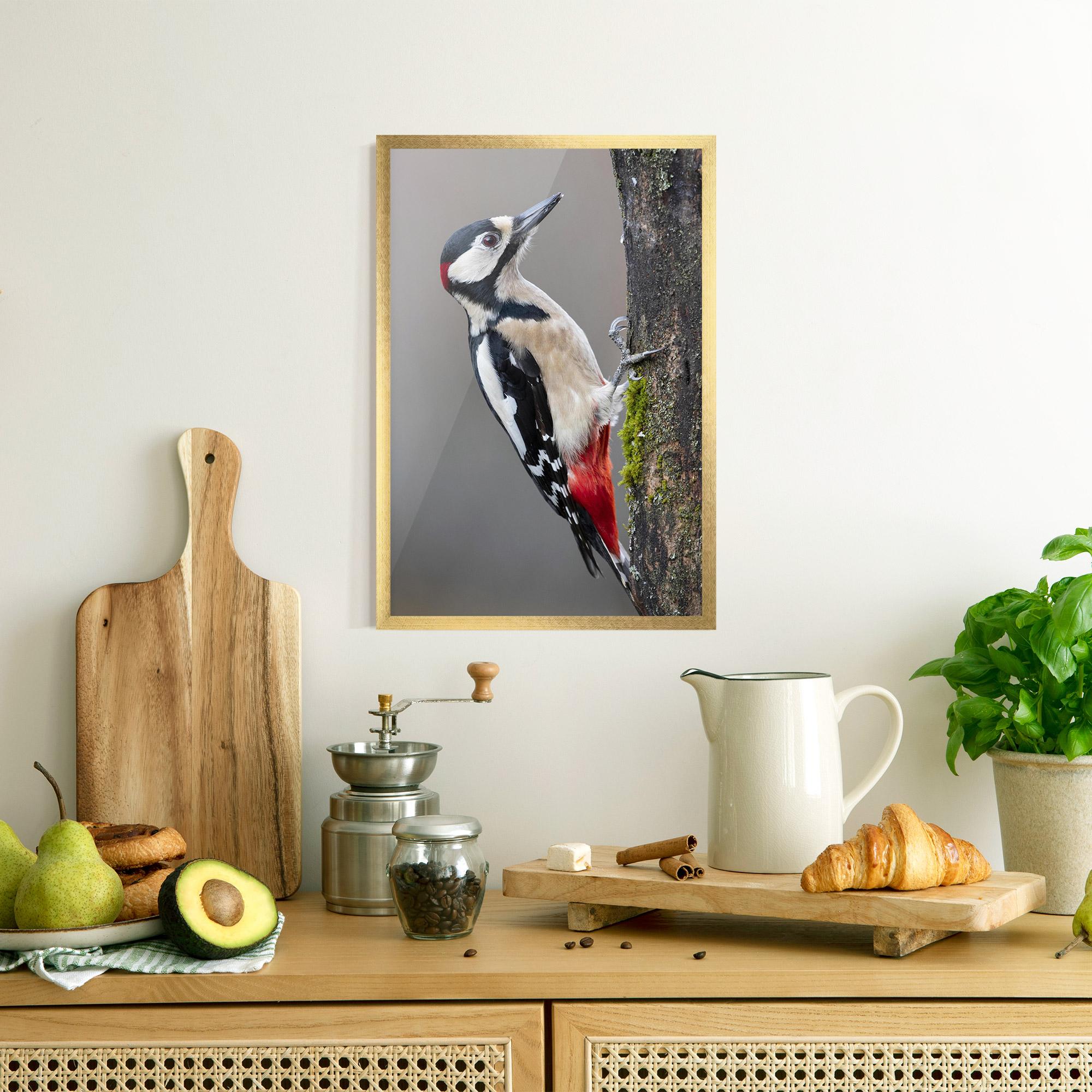 Poster Înrămat Woodpecker mockup 8