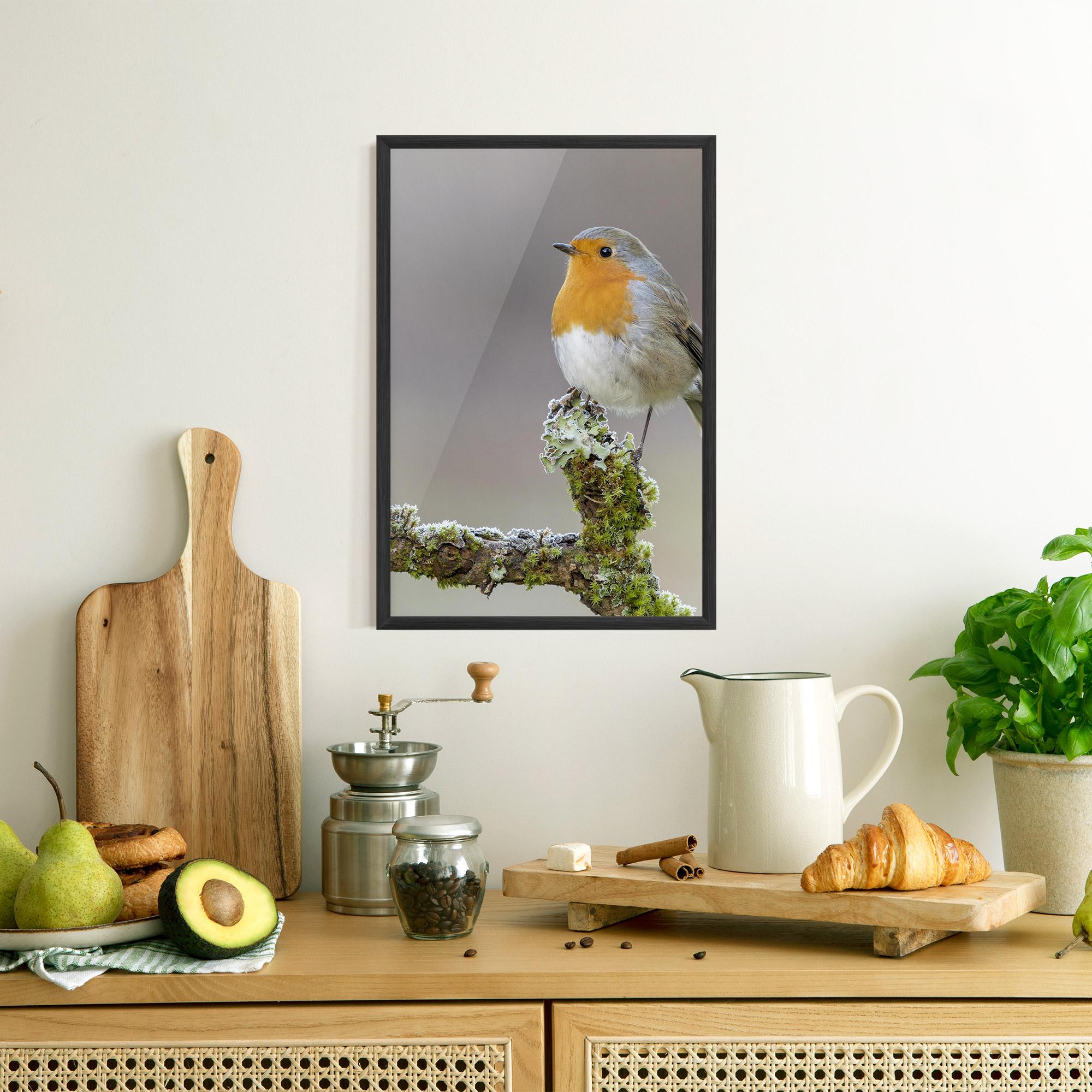 Poster Înrămat Erithacus Bird mockup 8