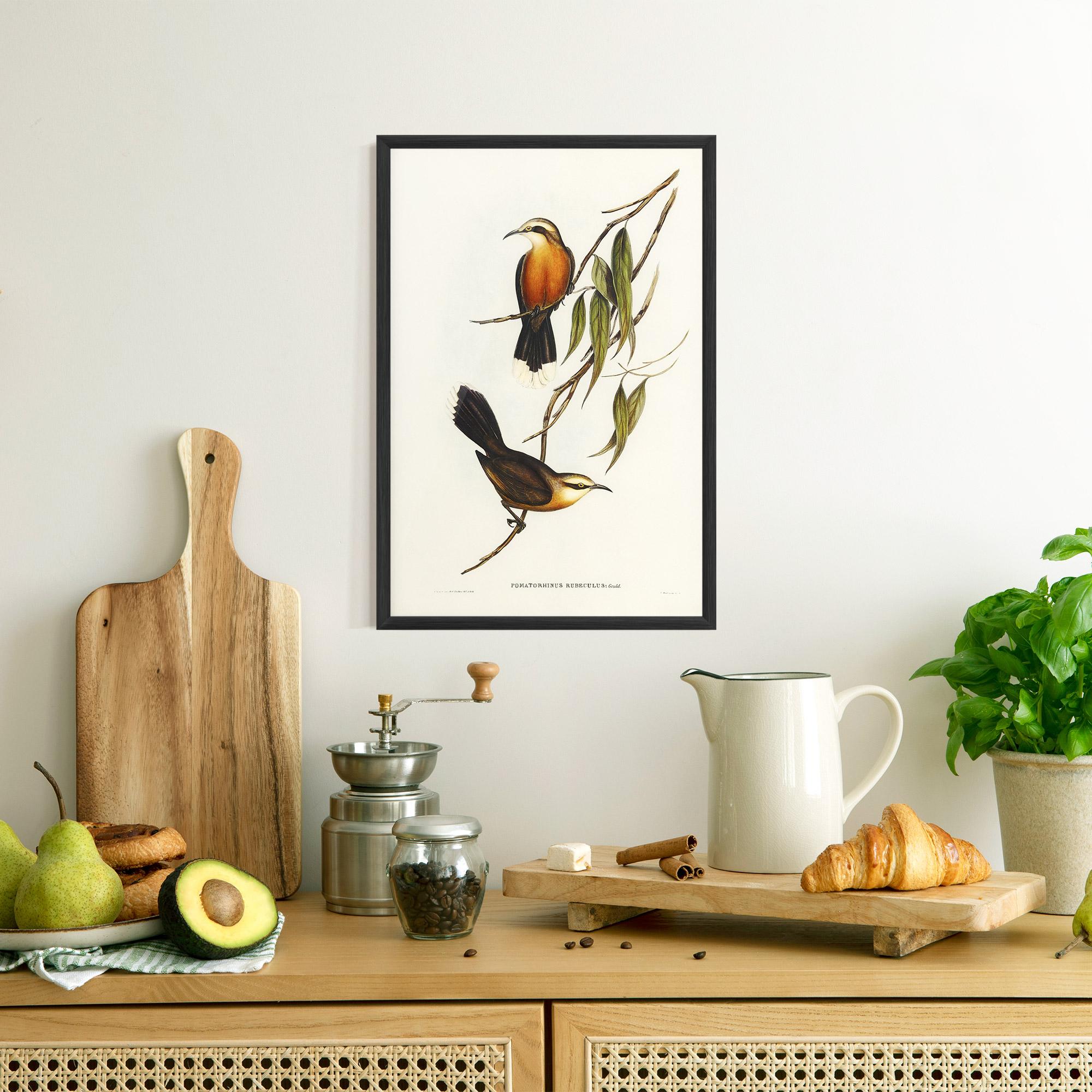 Poster Înrămat Red Pomatorhinus mockup 8