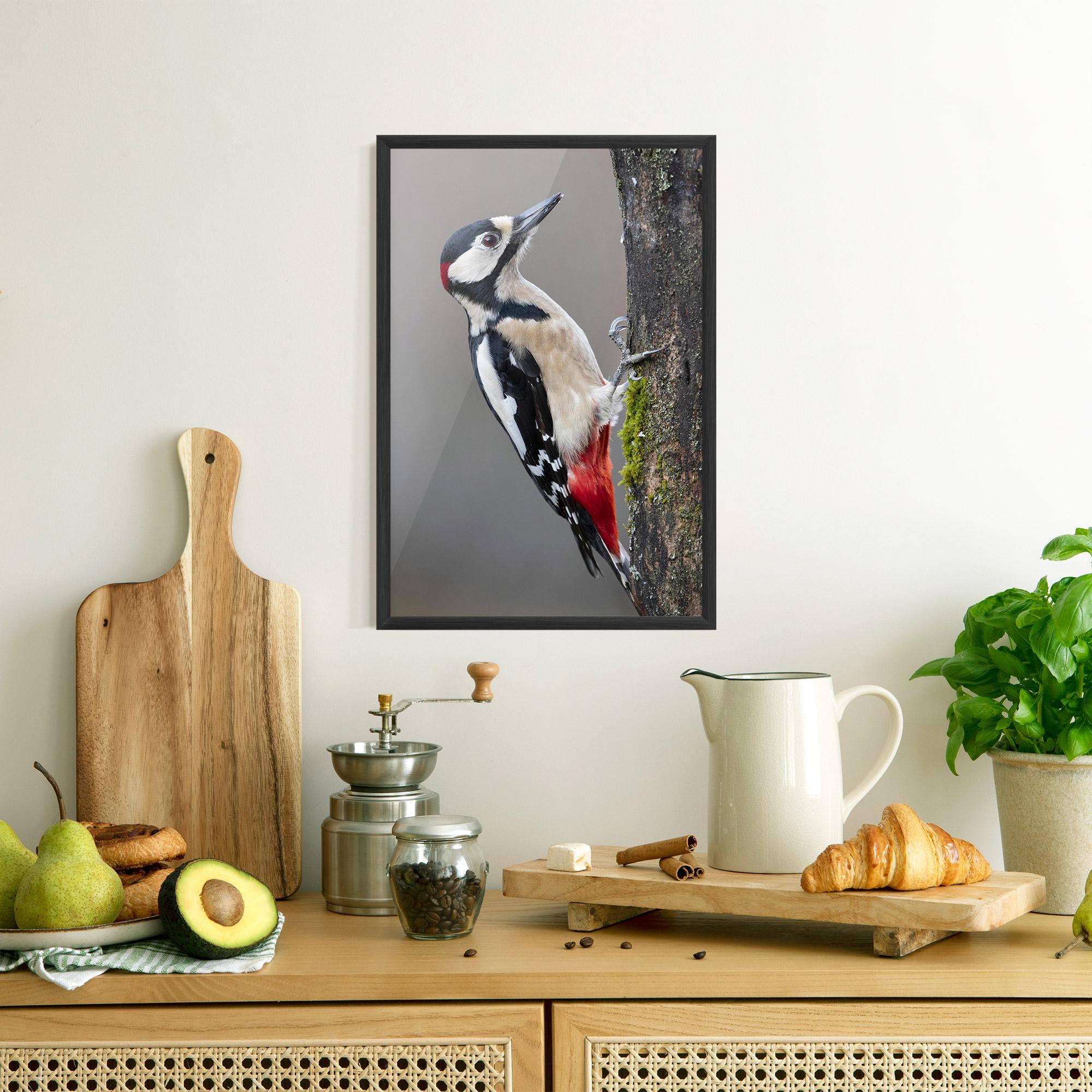 Poster Înrămat Woodpecker mockup 8