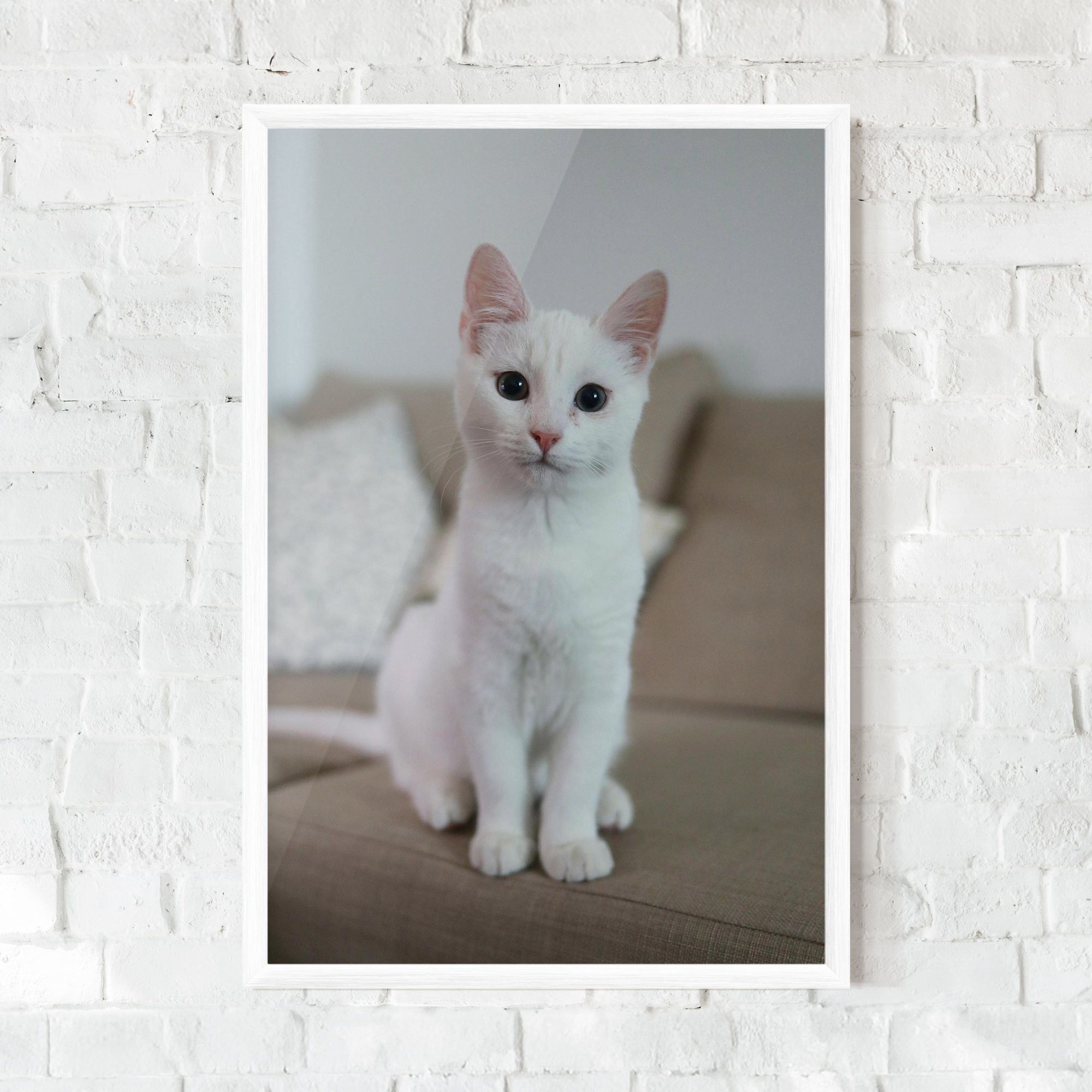 Beautiful White Cat mockup 0