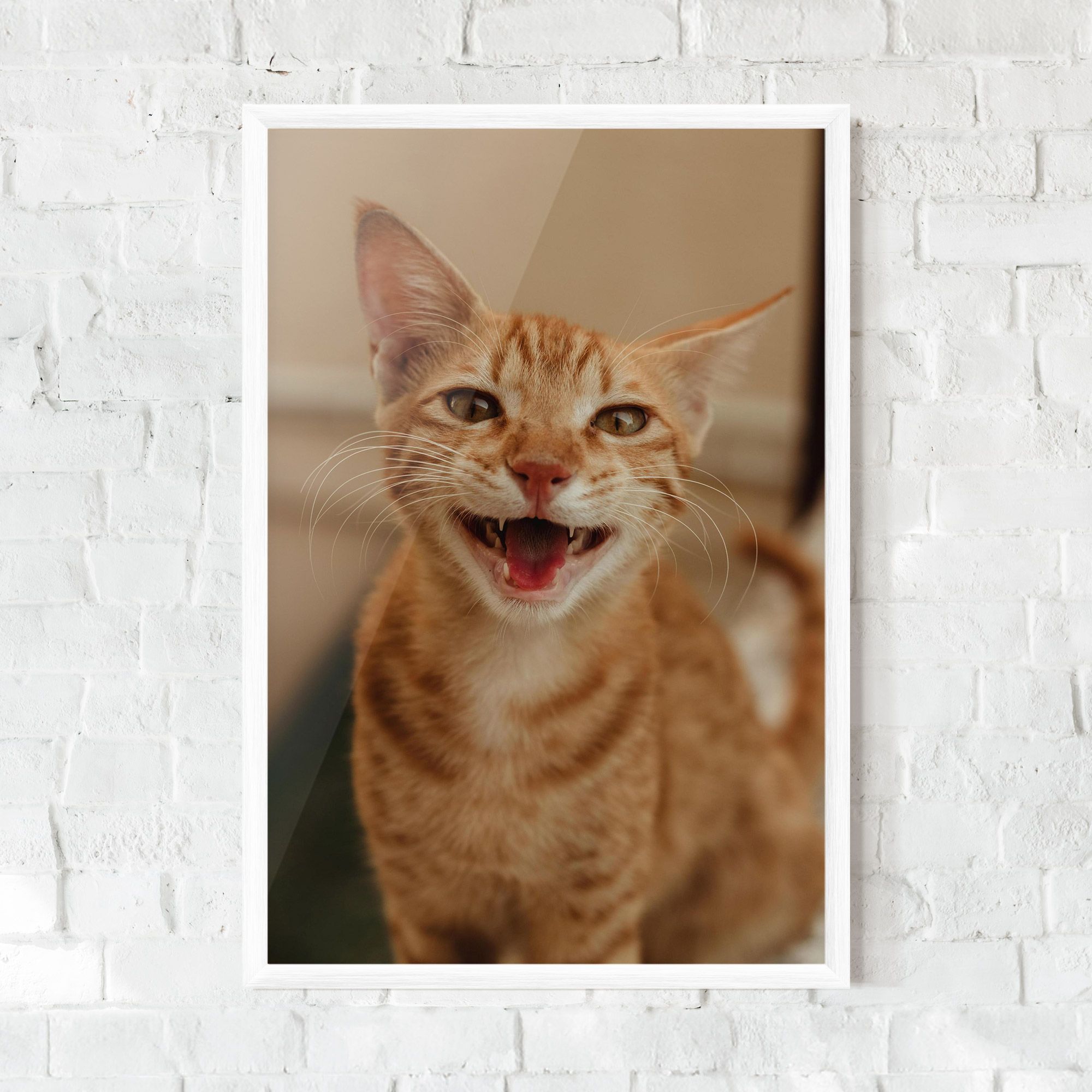 Orange Cat Smiling mockup 0