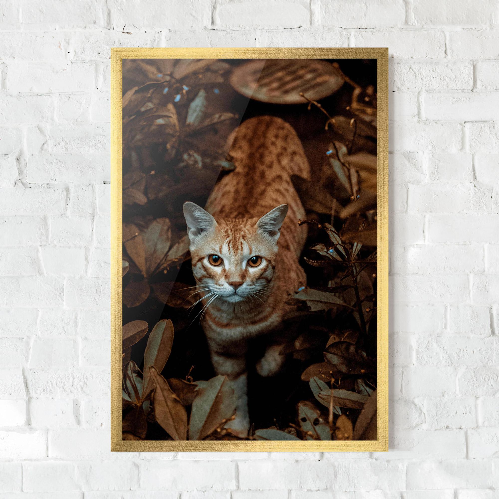 Poster Înrămat Autumn Orange Cat mockup 0