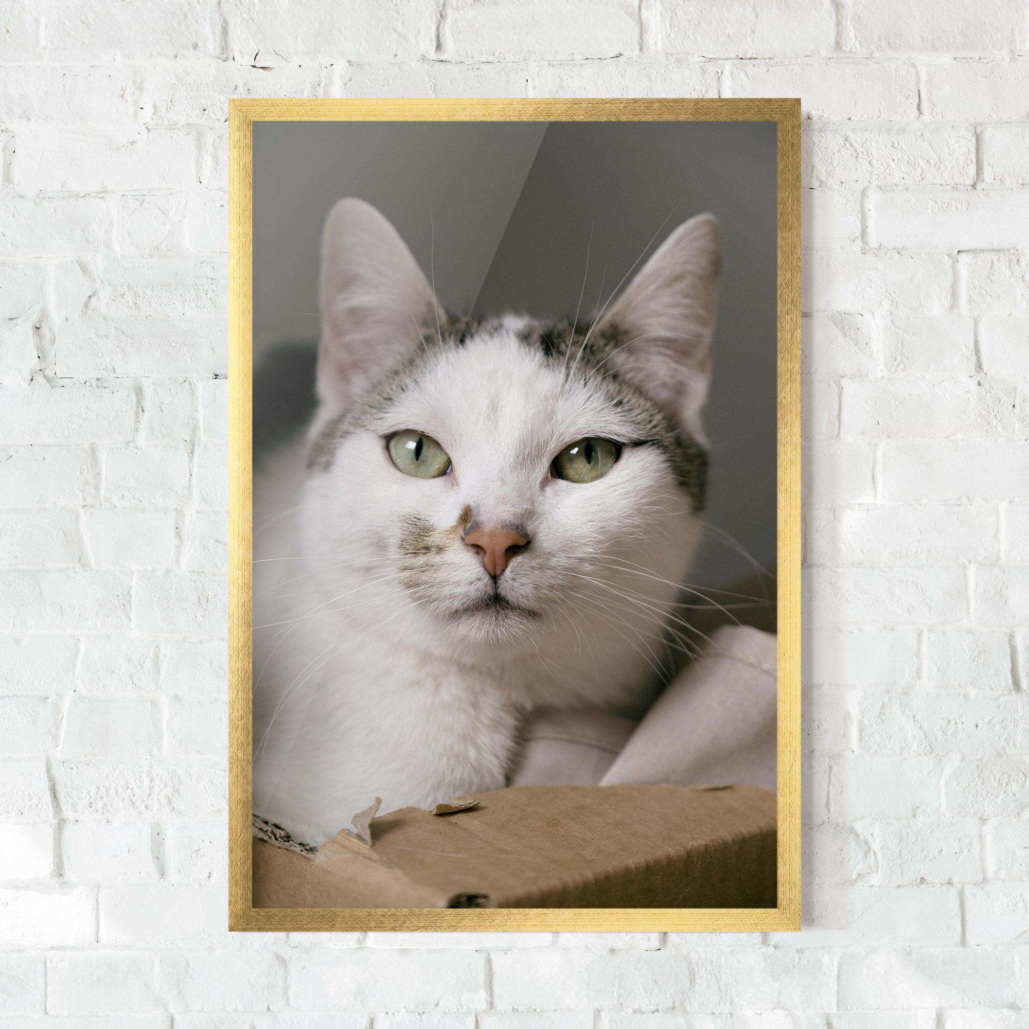 Big Sleepy Cat mockup 0