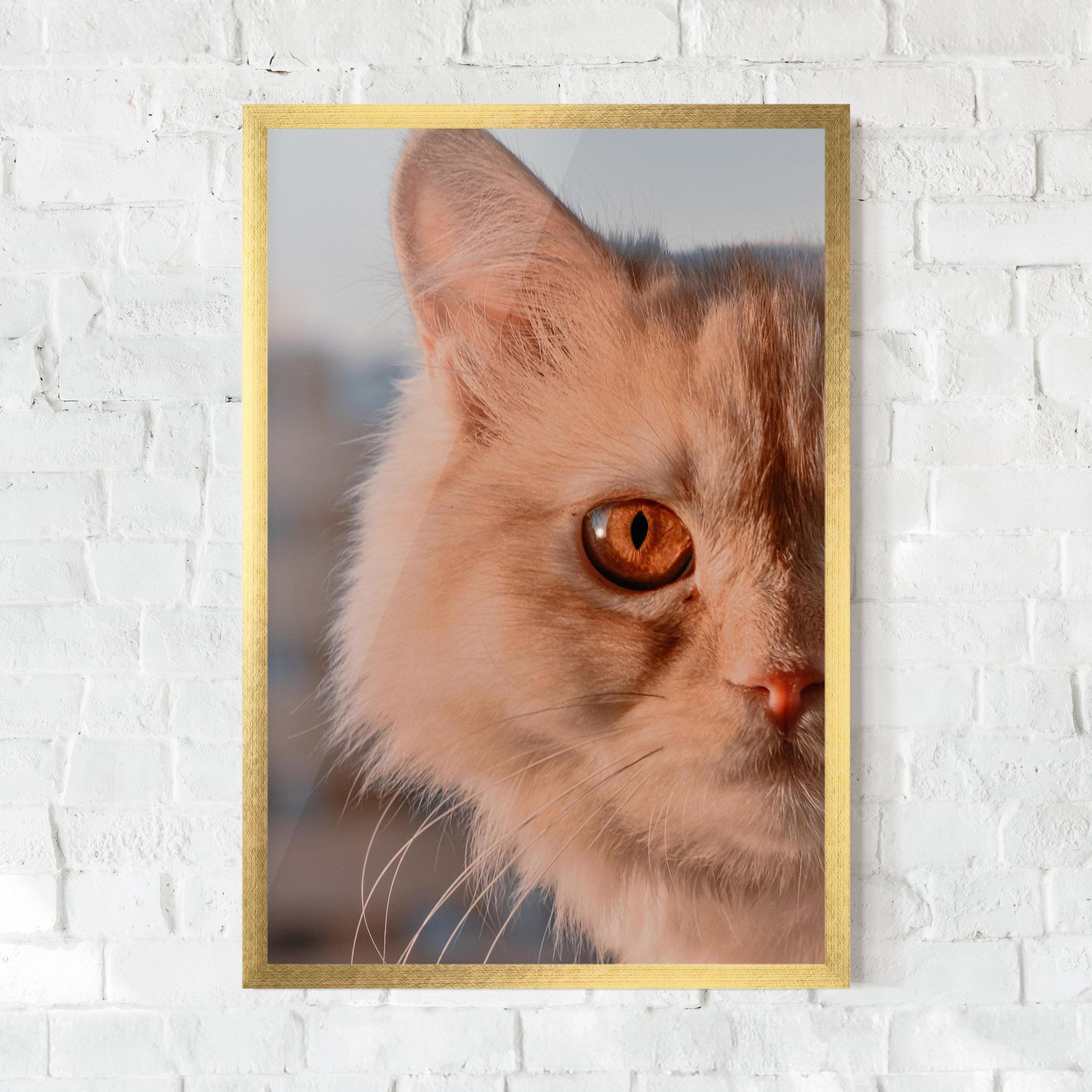 Cat Eye In Sun mockup 0