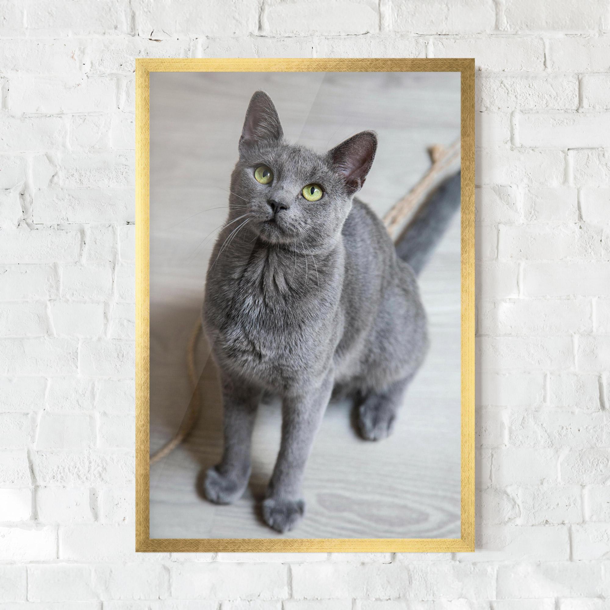 Poster Înrămat Grey Green Cat Eyes mockup 0