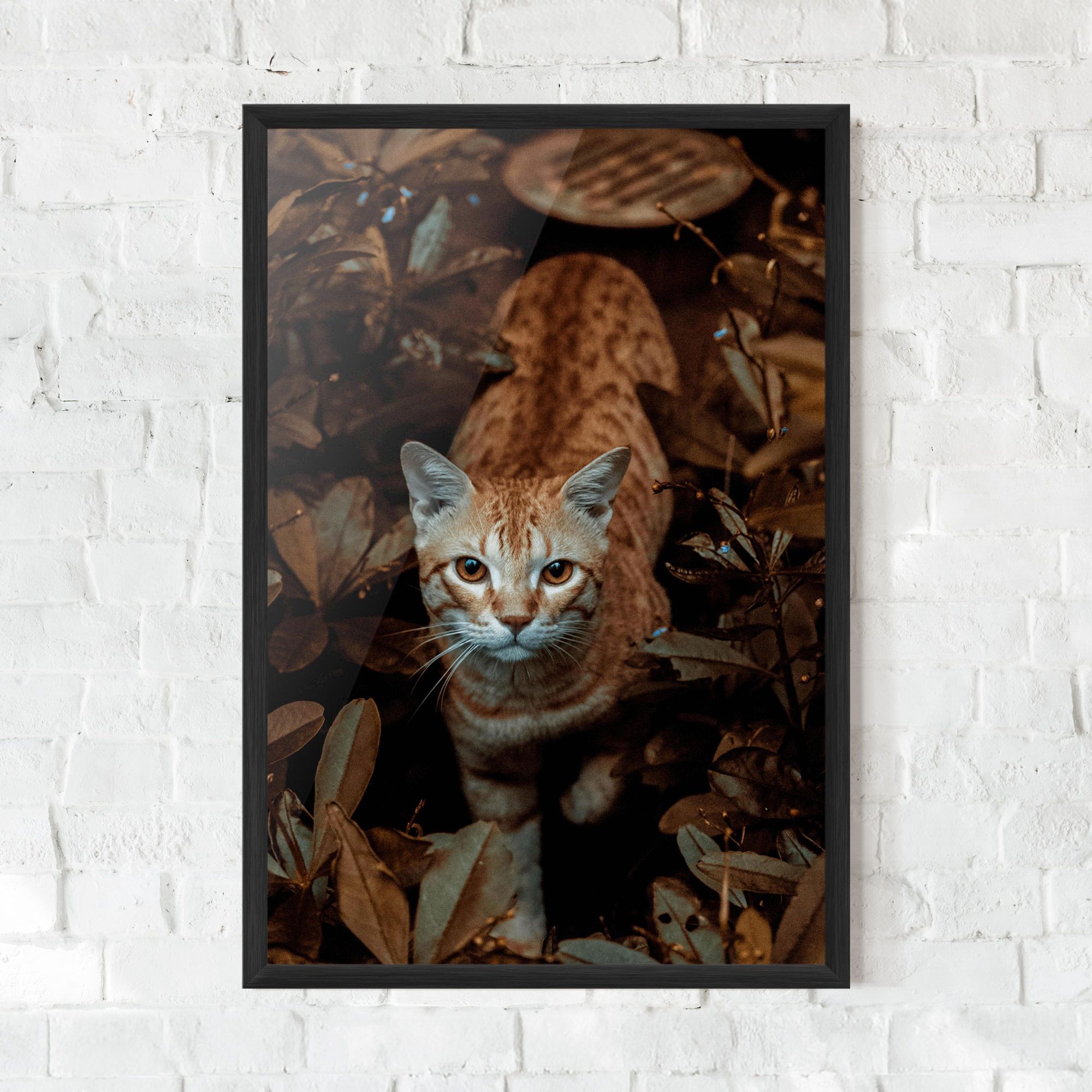 Autumn Orange Cat mockup 0
