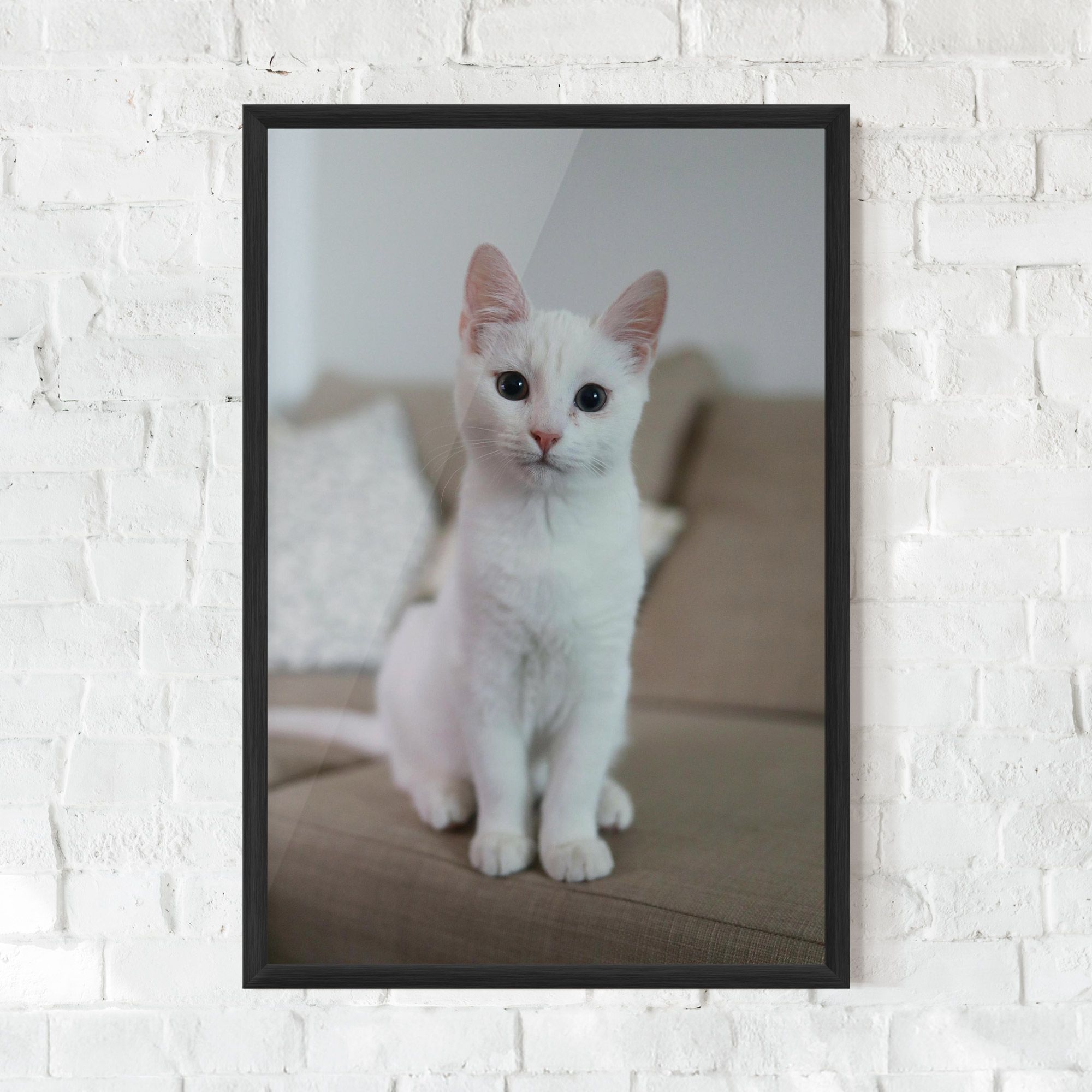 Beautiful White Cat mockup 0