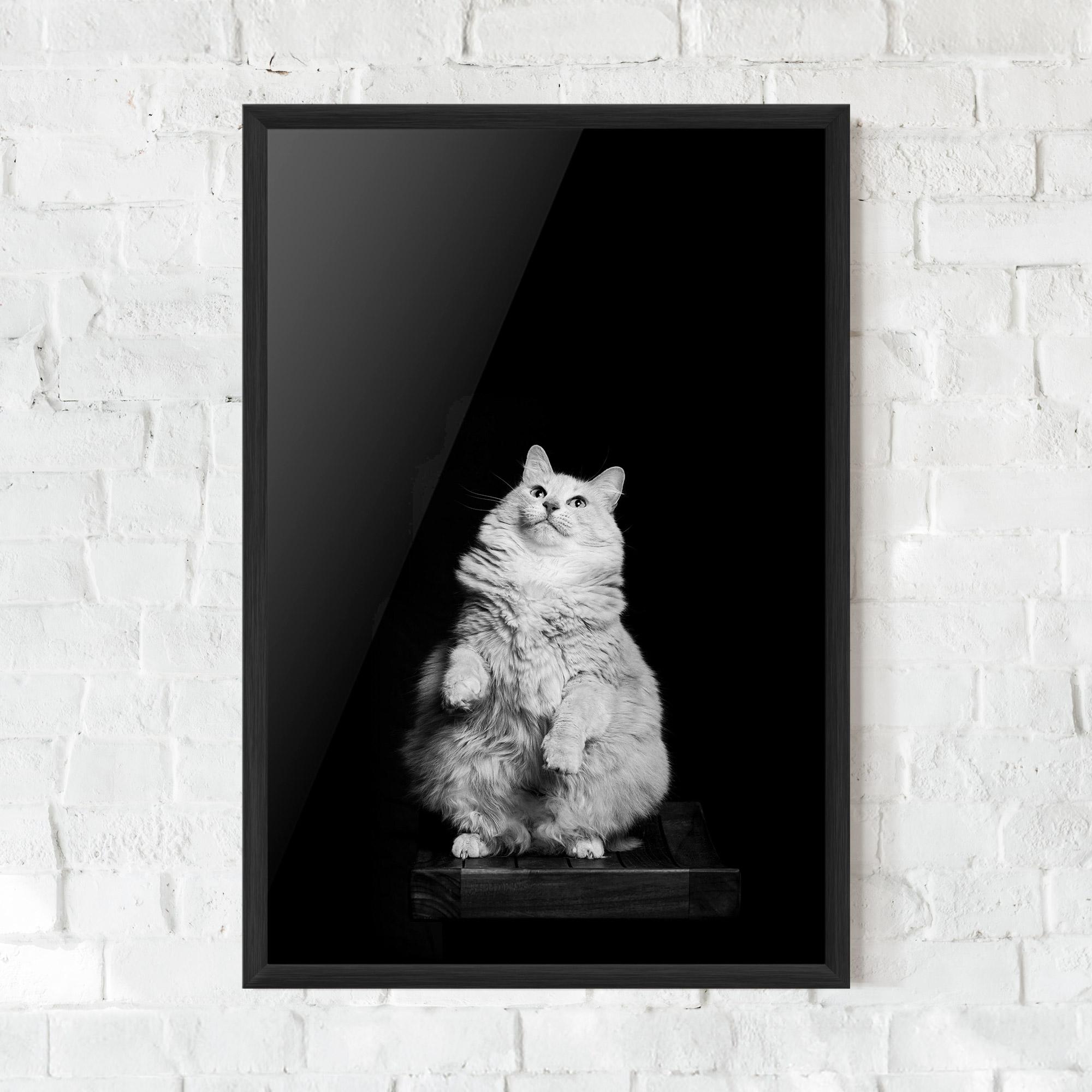 Poster Înrămat Big Fluffy Cat mockup 0