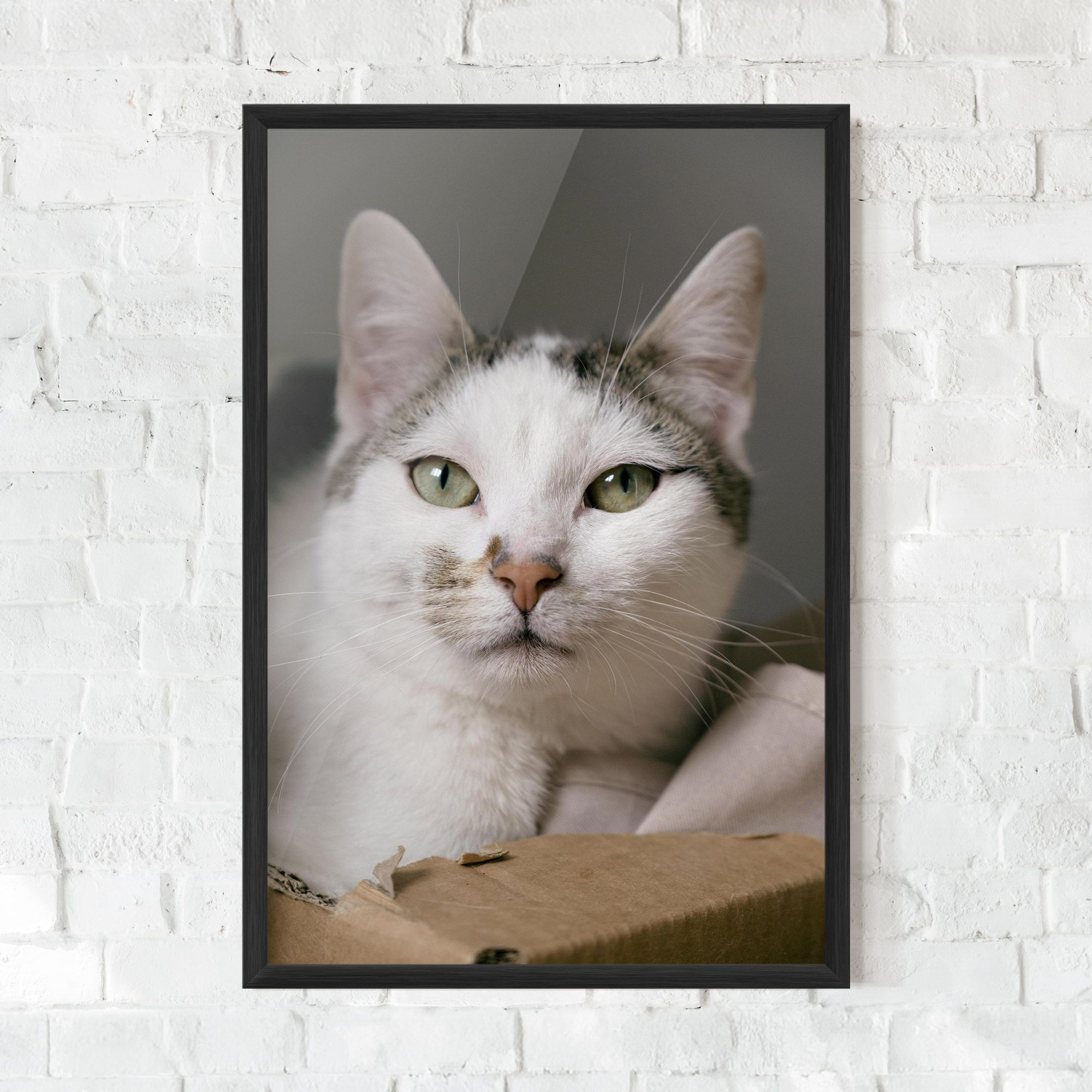 Big Sleepy Cat mockup 0