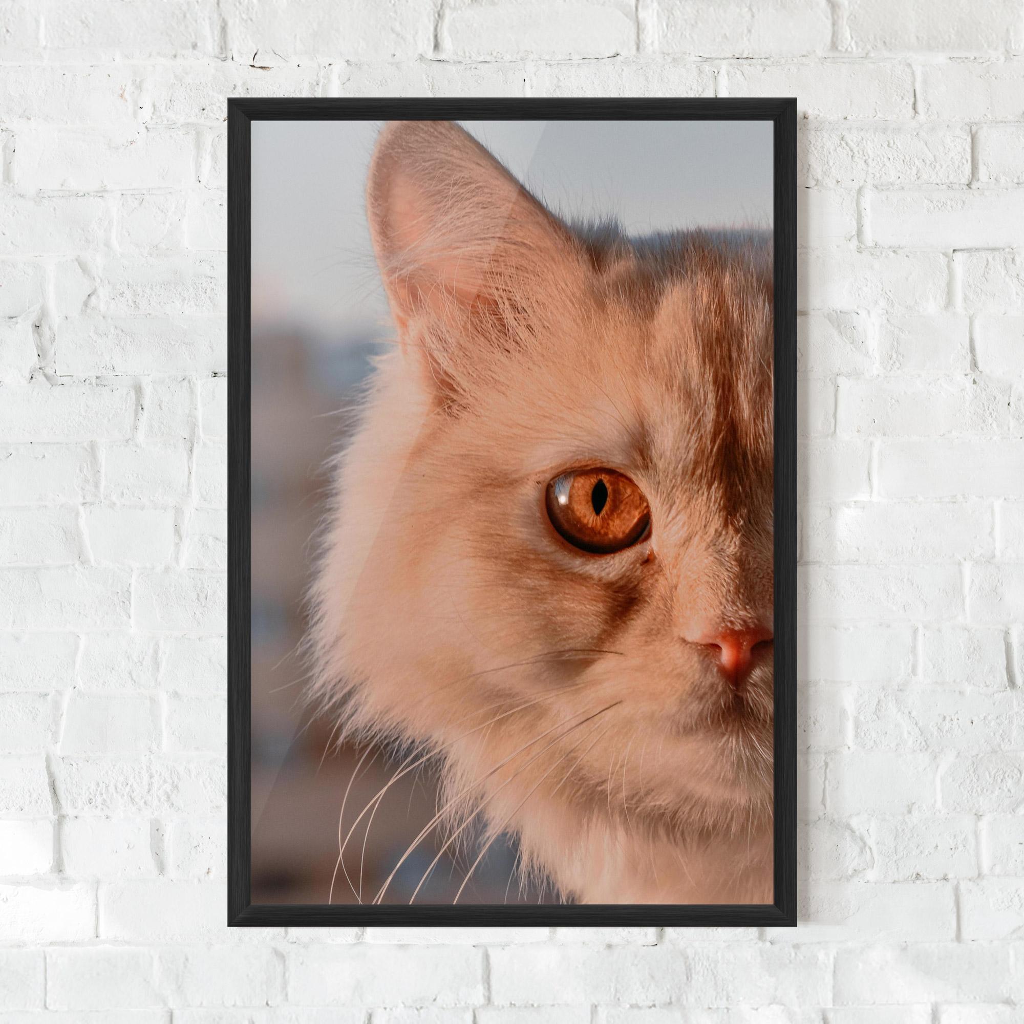 Poster Înrămat Cat Eye In Sun mockup 0