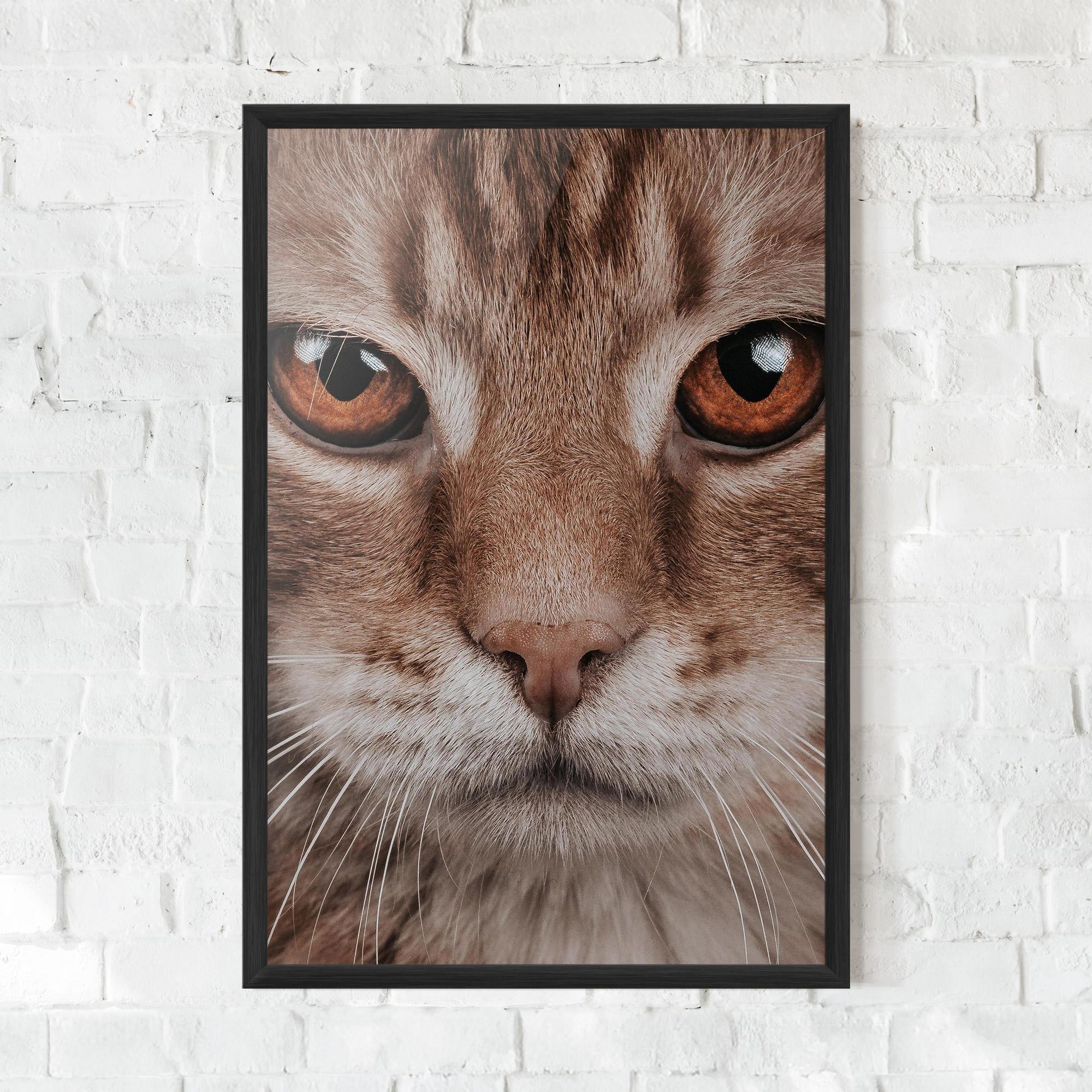 Poster Înrămat Fire Eyes Cat mockup 0