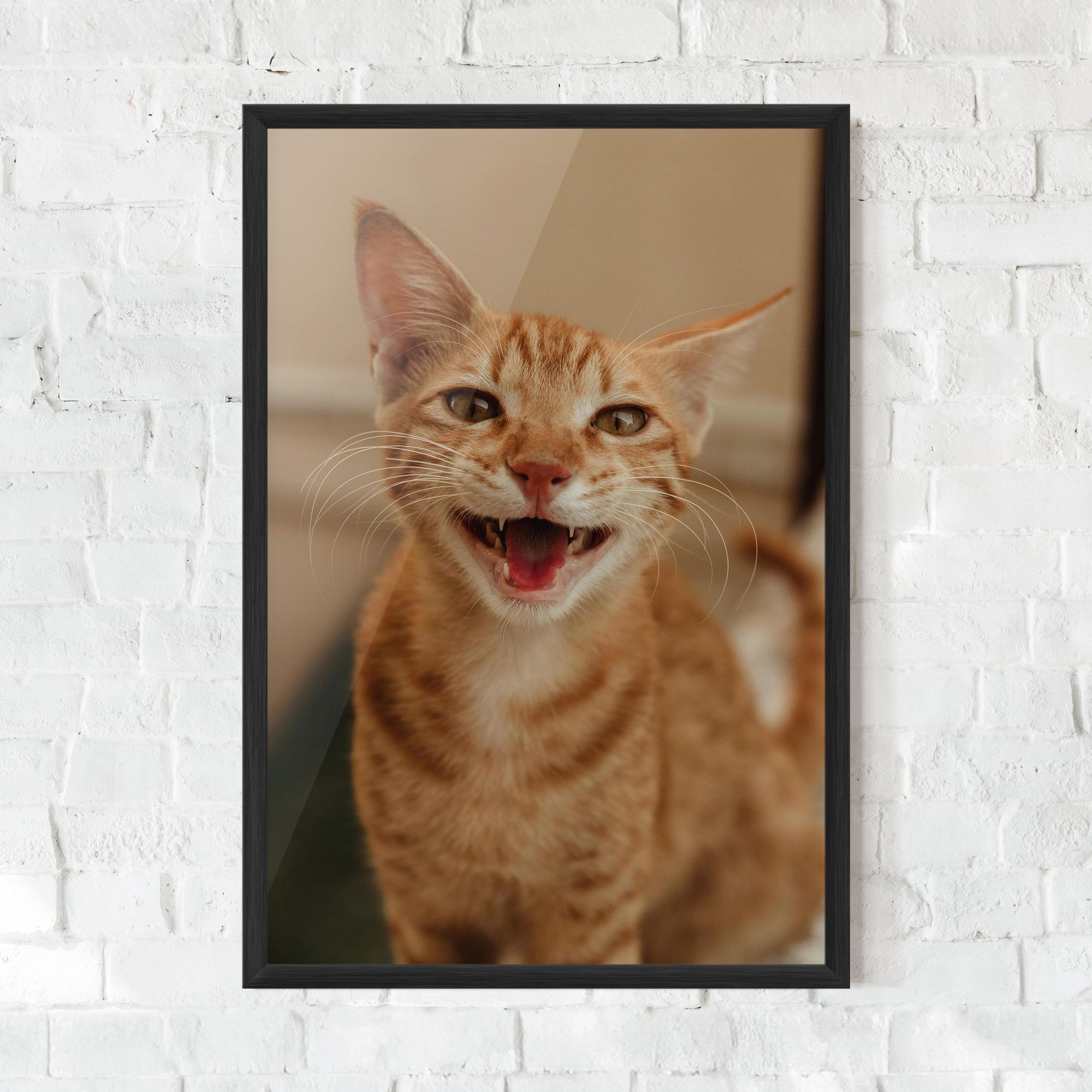 Orange Cat Smiling mockup 0
