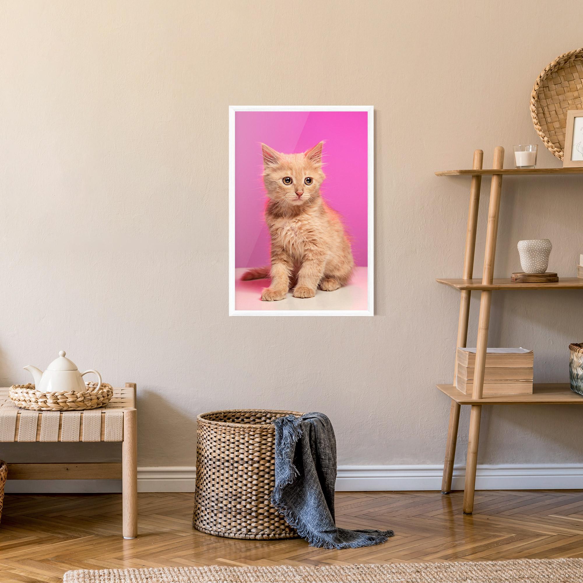 Poster Înrămat Orange Cat On Pink mockup 9
