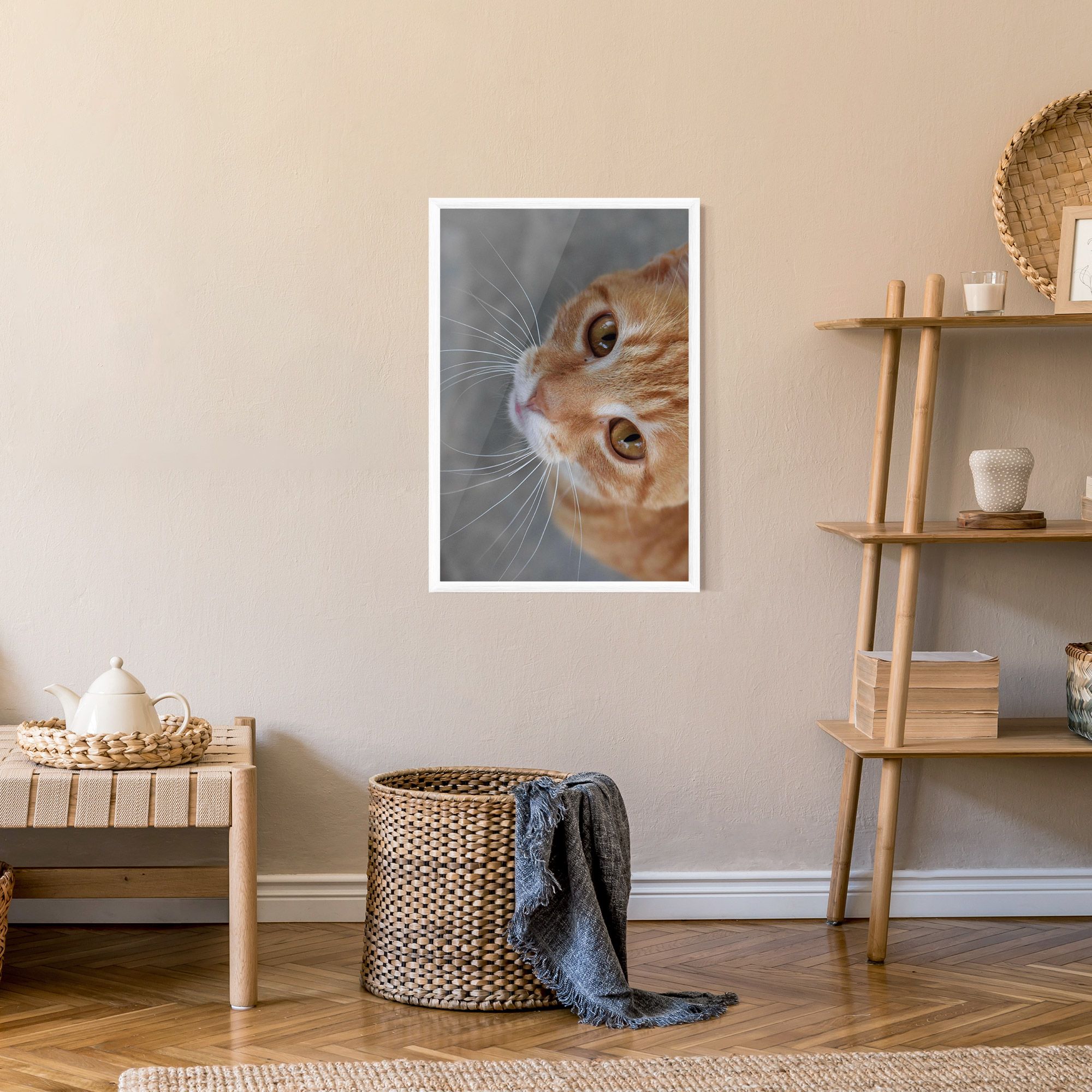 Pretty Orange Eyes Cat mockup 9
