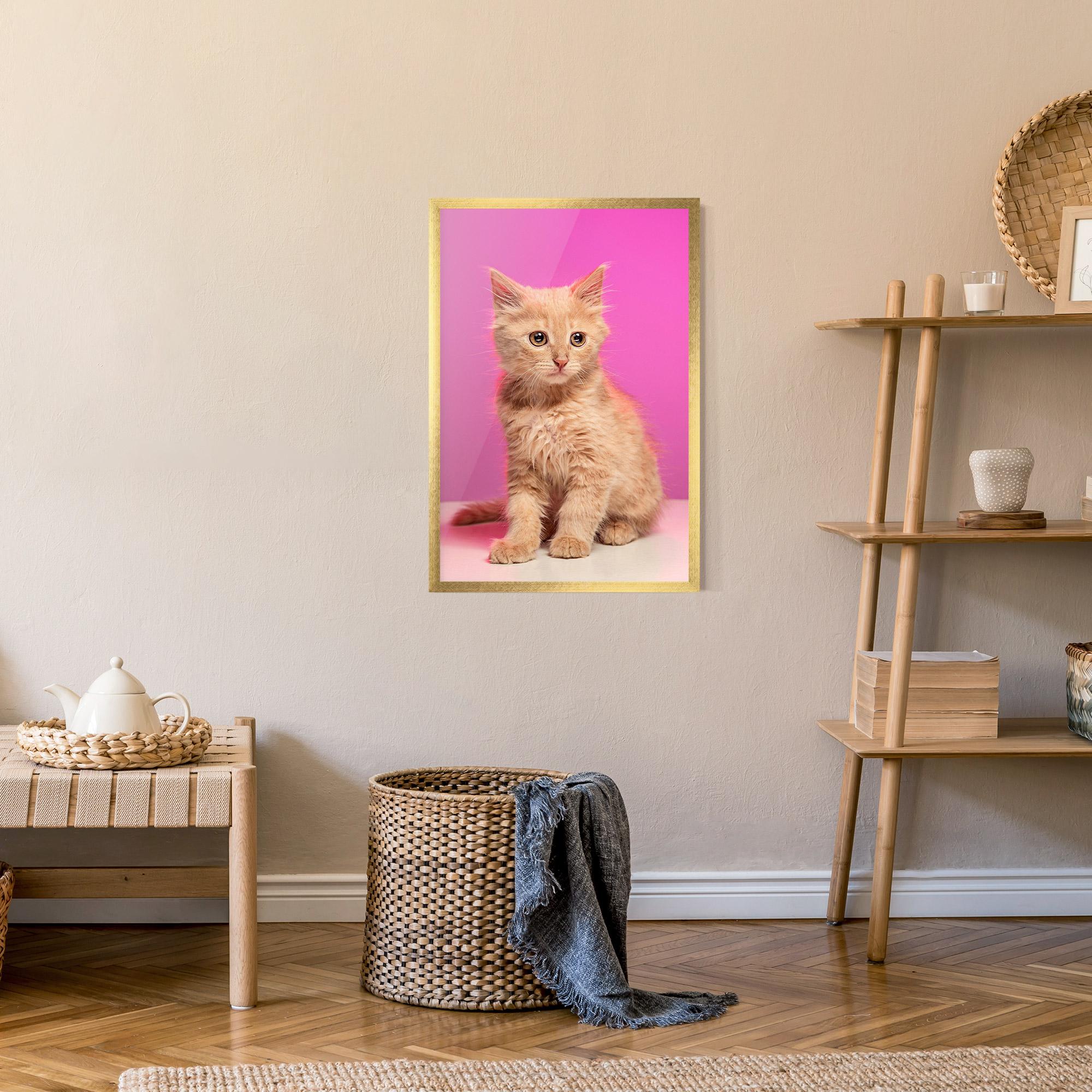 Poster Înrămat Orange Cat On Pink mockup 9