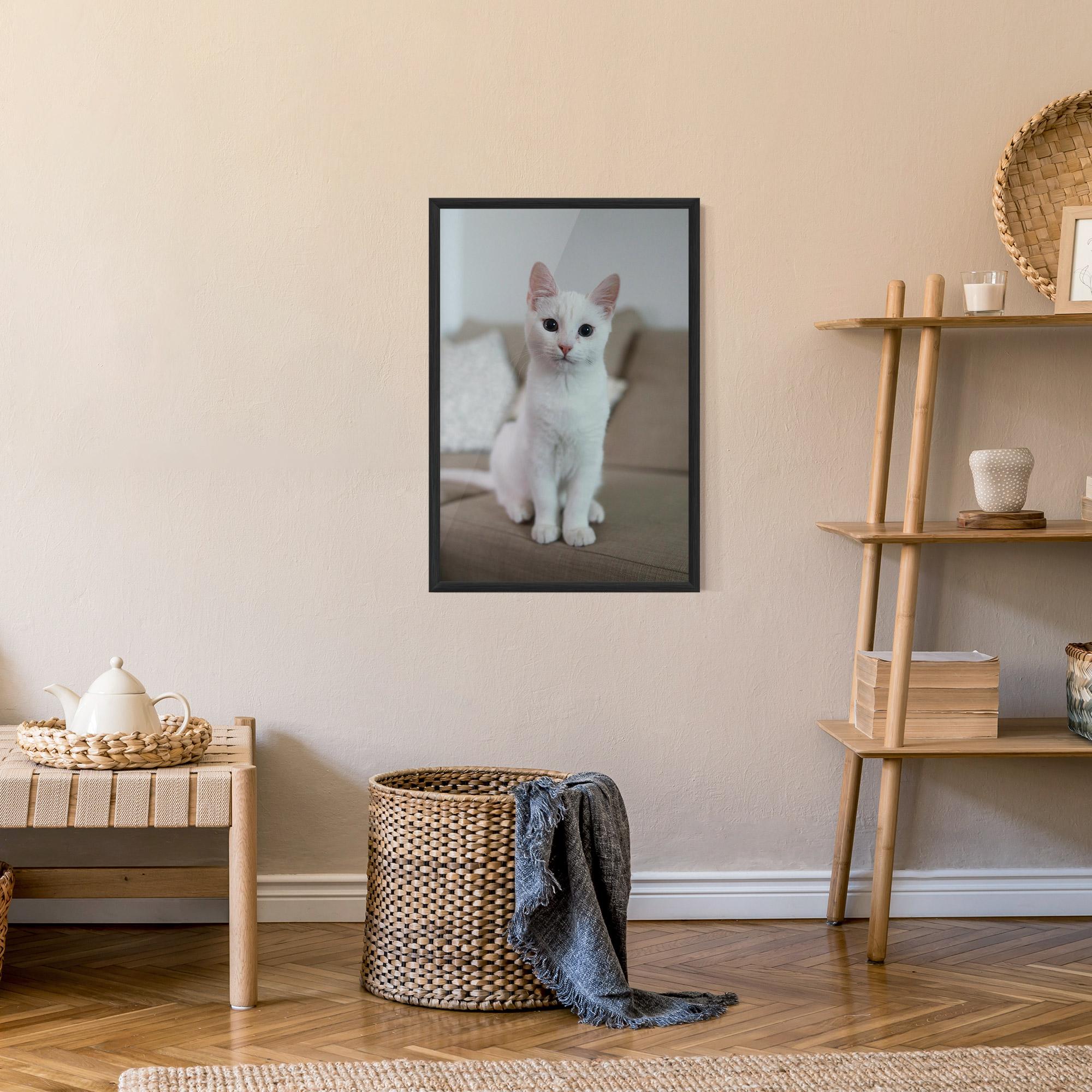 Poster Înrămat Beautiful White Cat mockup 9