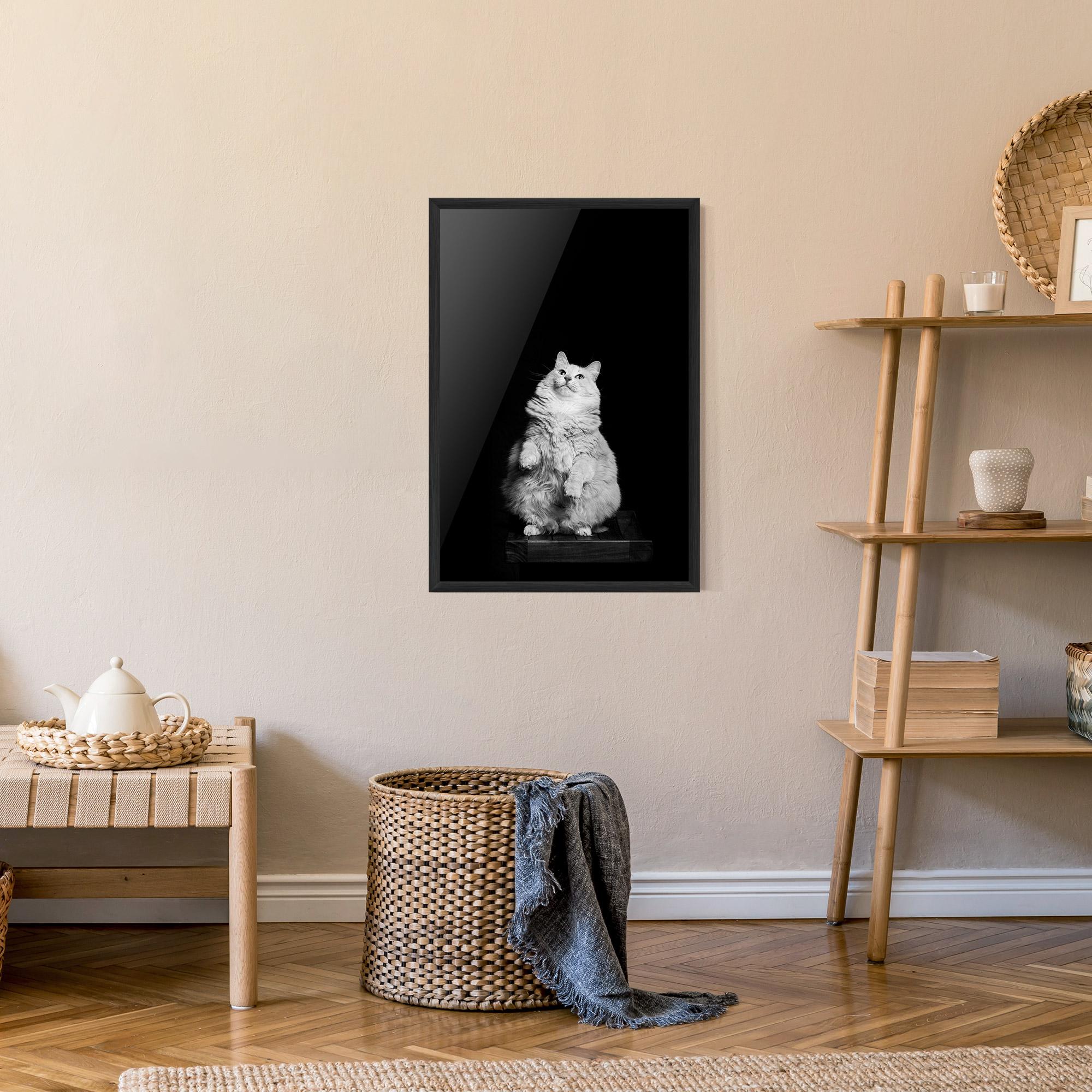 Poster Înrămat Big Fluffy Cat mockup 9
