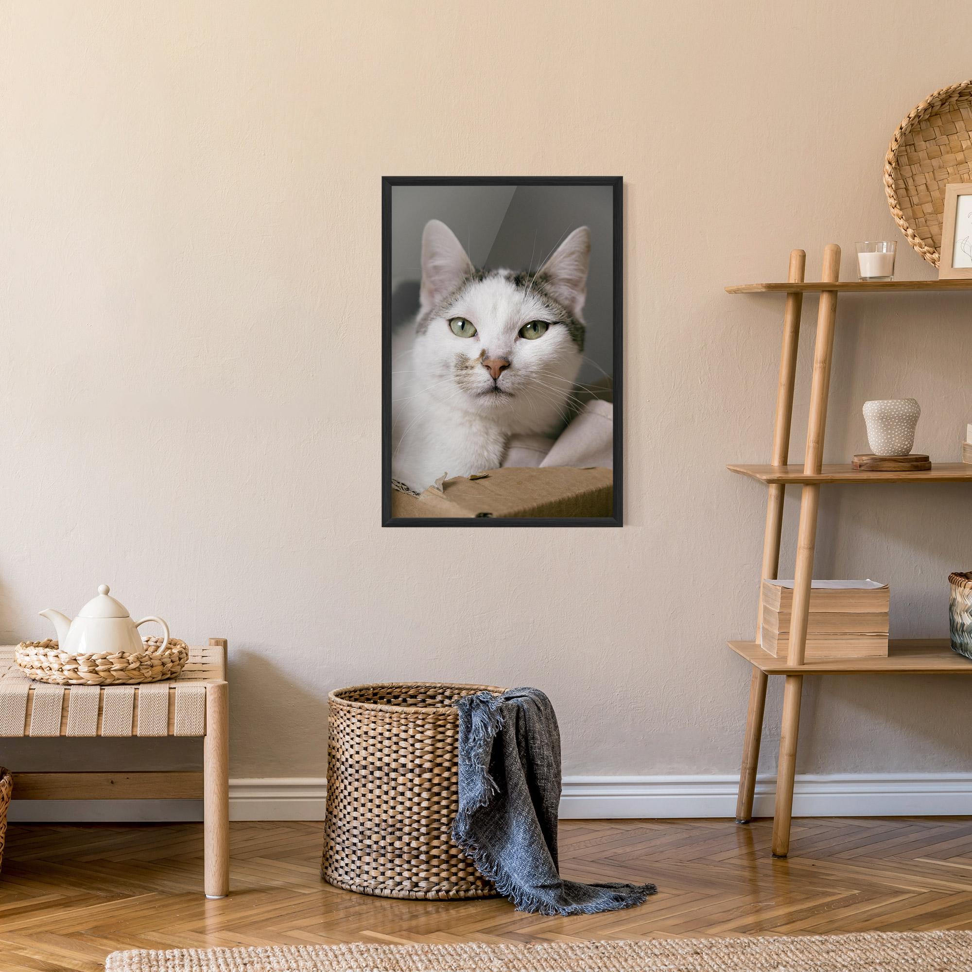 Poster Înrămat Big Sleepy Cat mockup 9