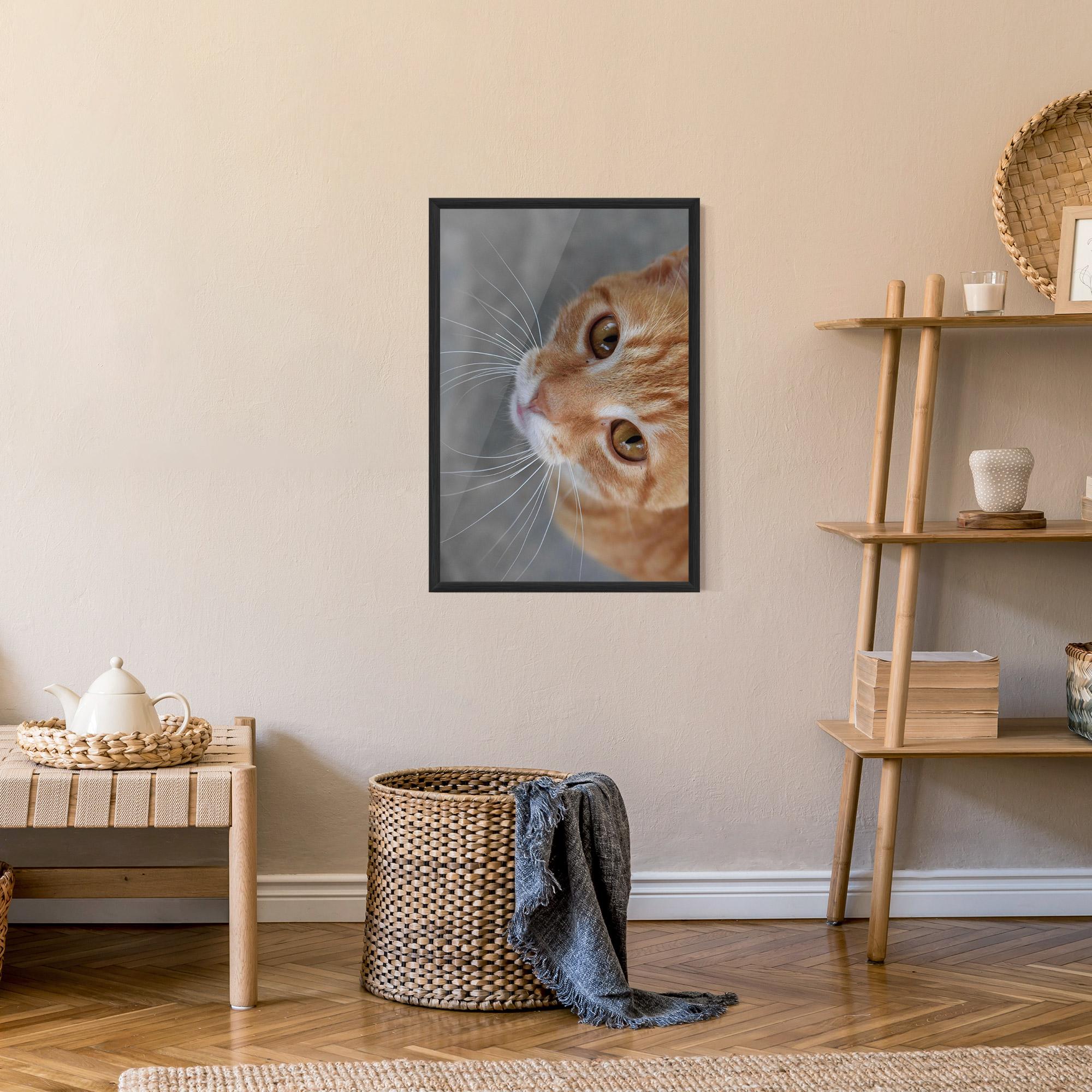 Poster Înrămat Pretty Orange Eyes Cat mockup 9