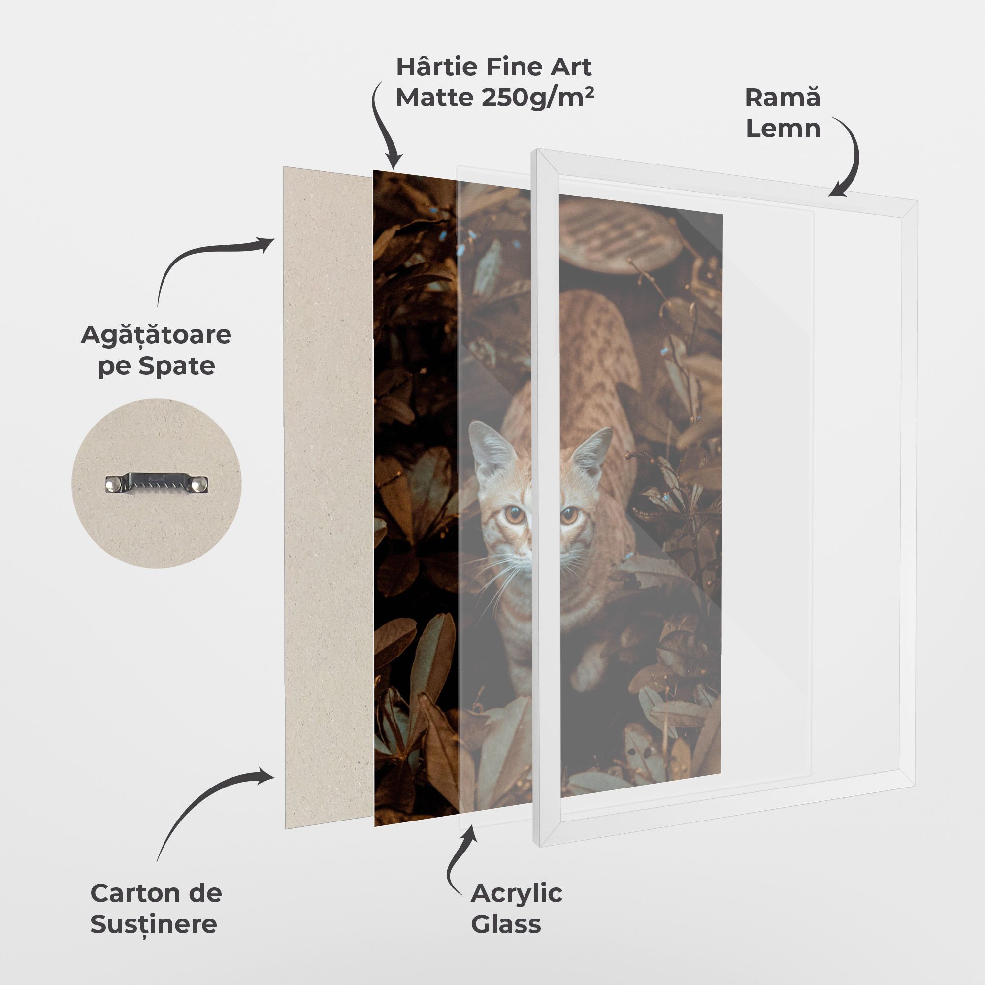 Autumn Orange Cat mockup 1