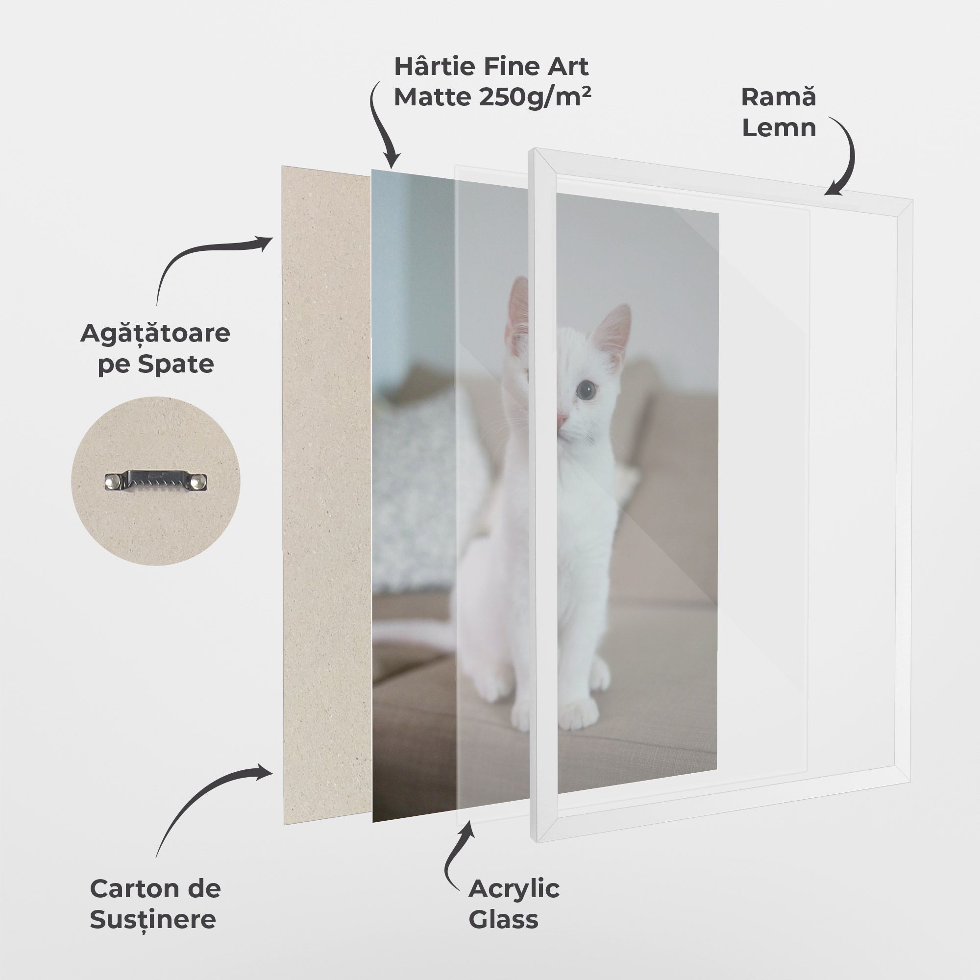 Beautiful White Cat mockup 1