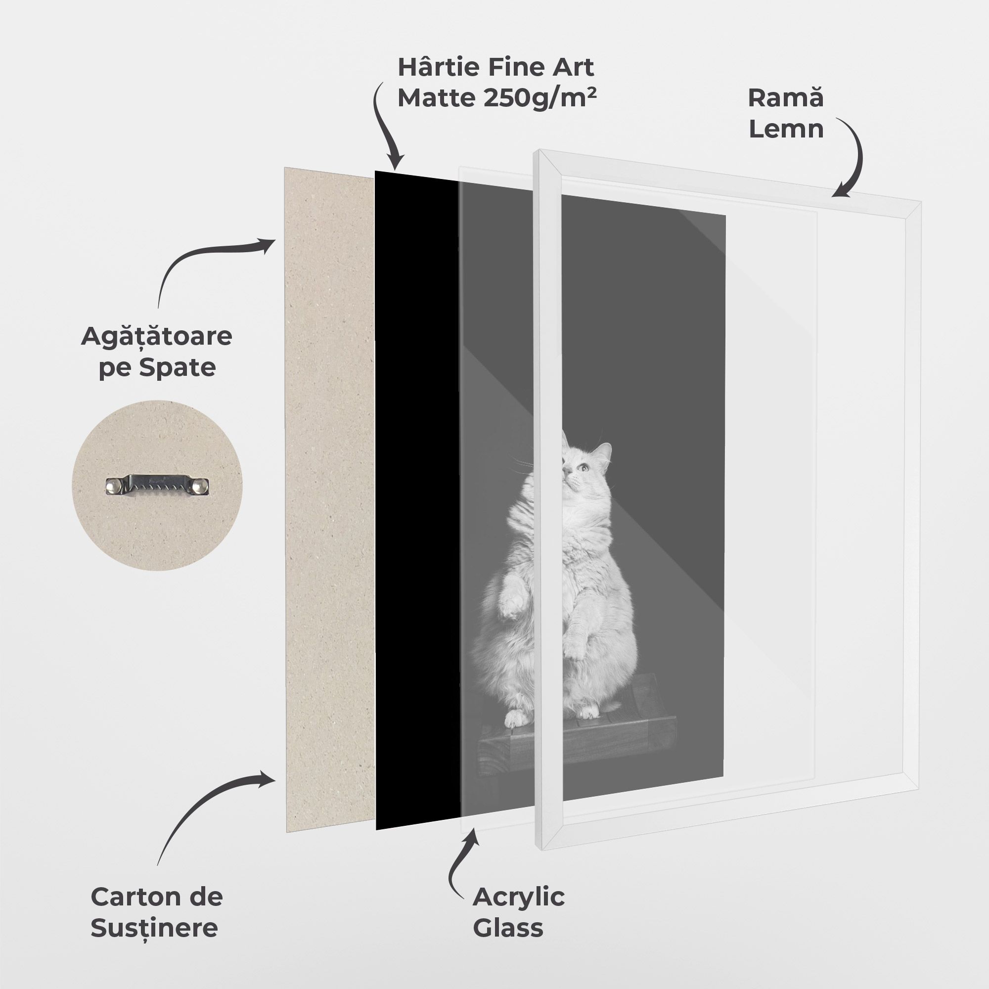 Big Fluffy Cat mockup 1