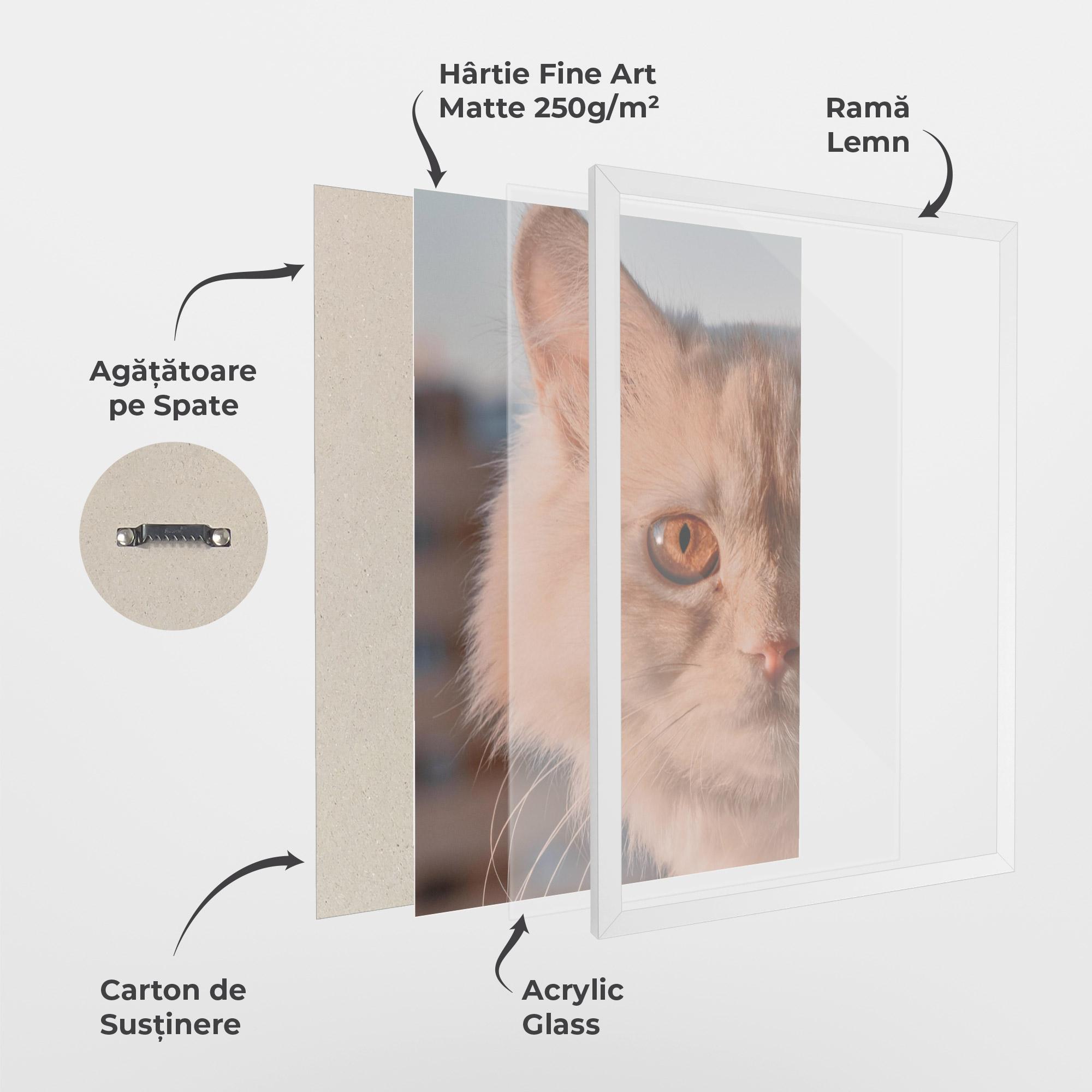 Poster Înrămat Cat Eye In Sun mockup 1