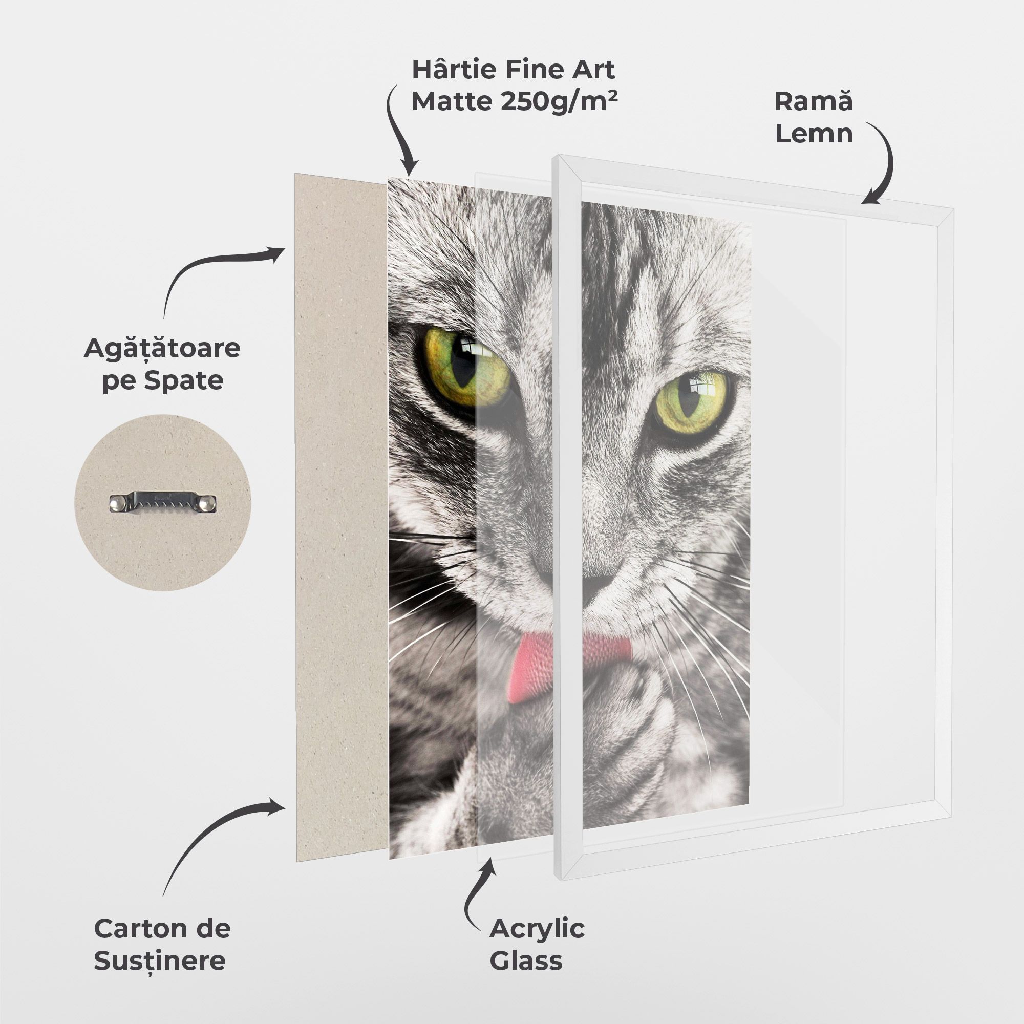 Green Eyes Close Up Cat mockup 1