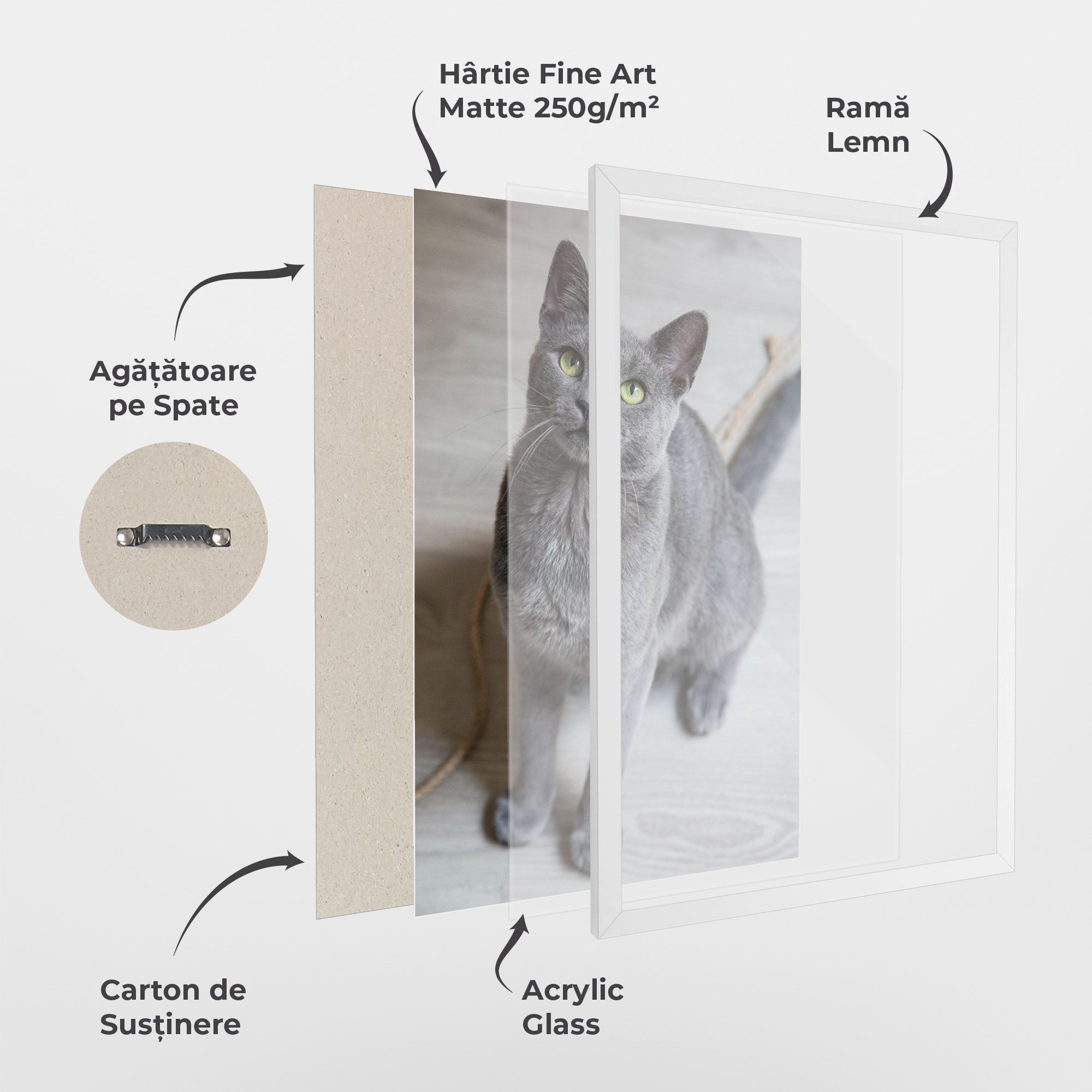 Grey Green Cat Eyes mockup 1